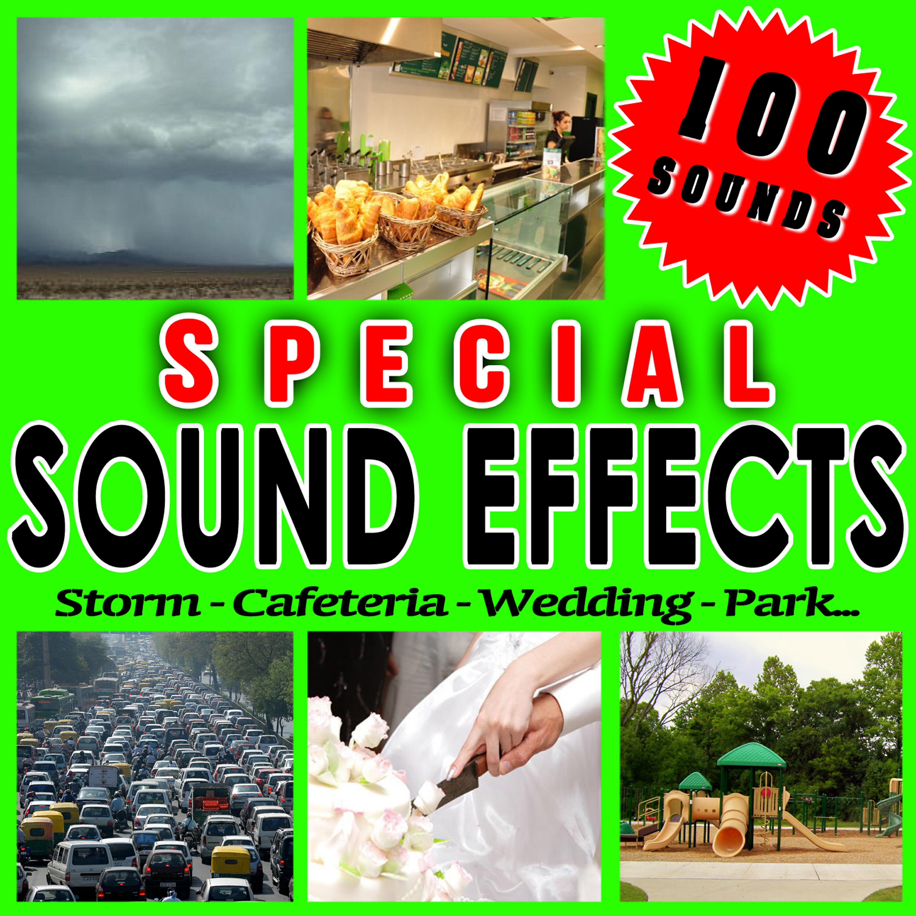 Релиз Storm, Cafeteria, Wedding, Park... Special Sound Effects.