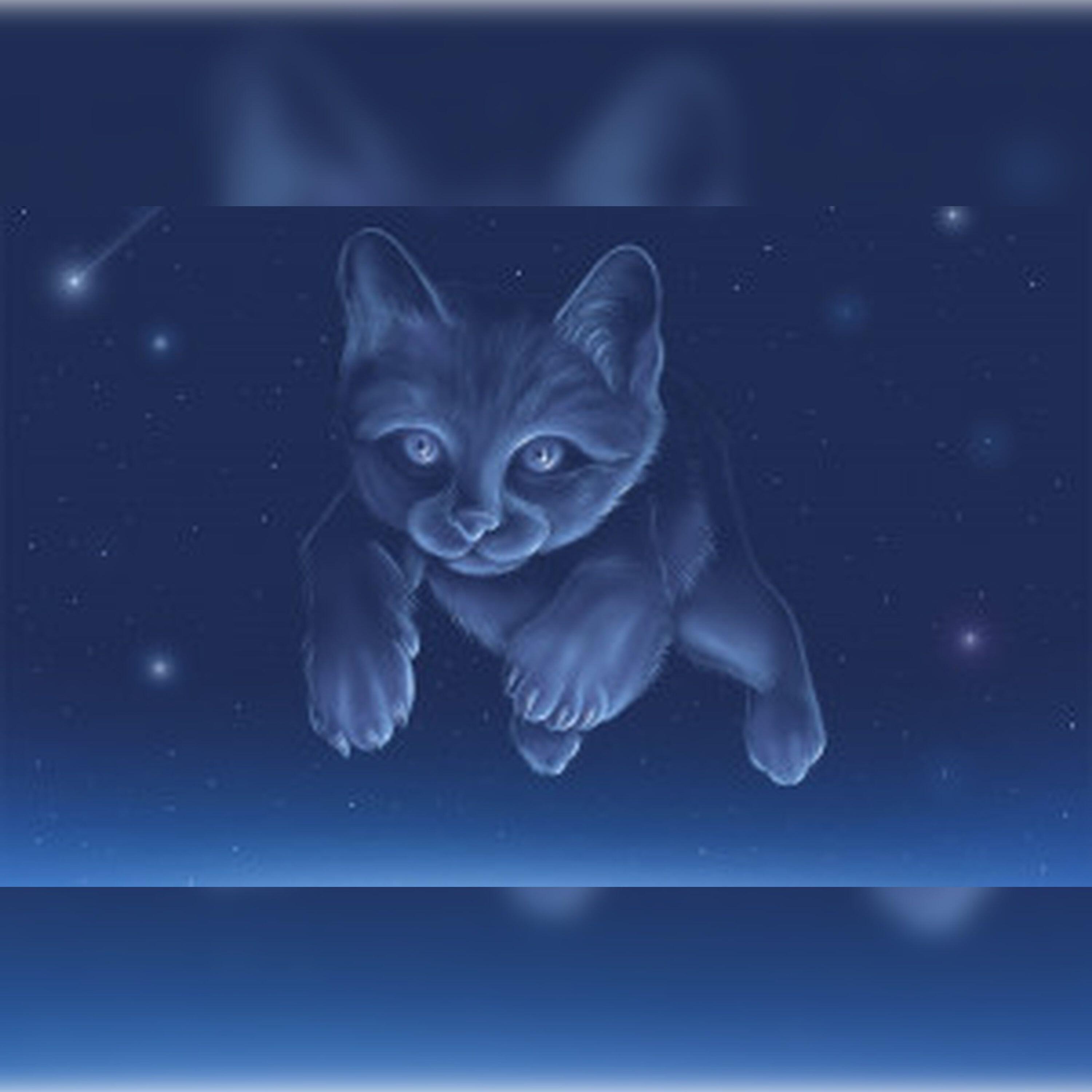 Релиз Кошка севера