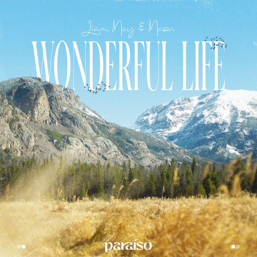Релиз Wonderful Life
