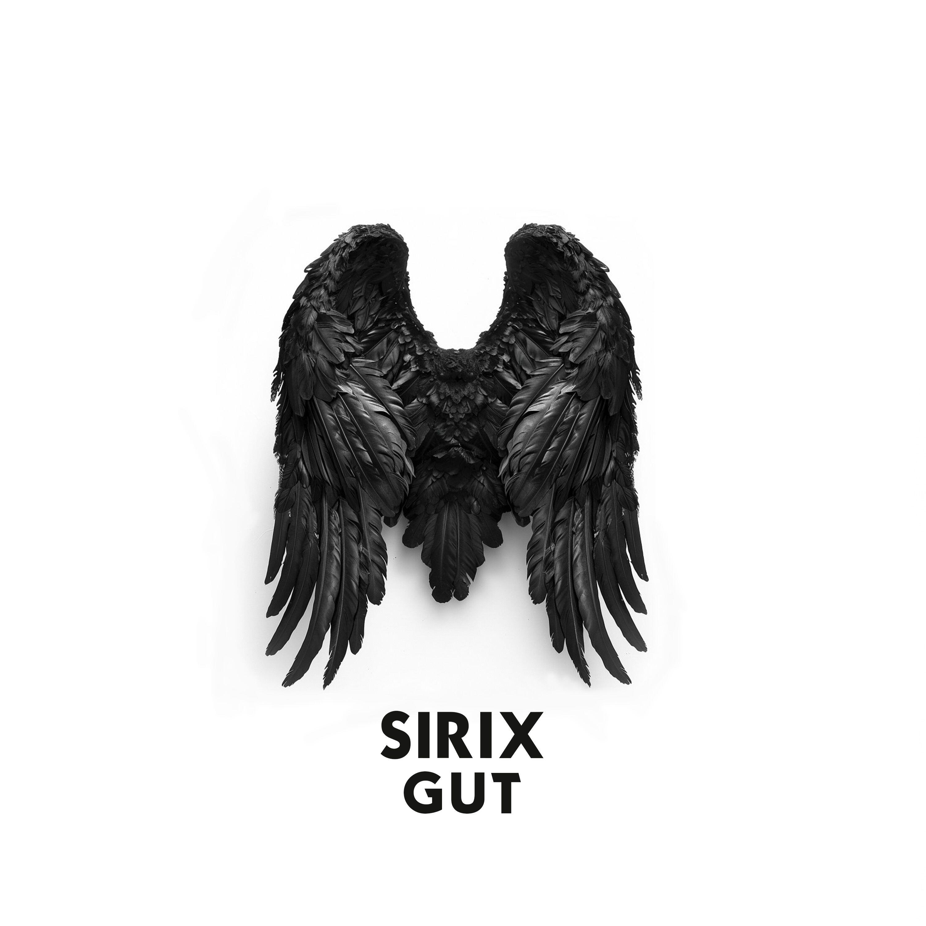 Релиз Gut