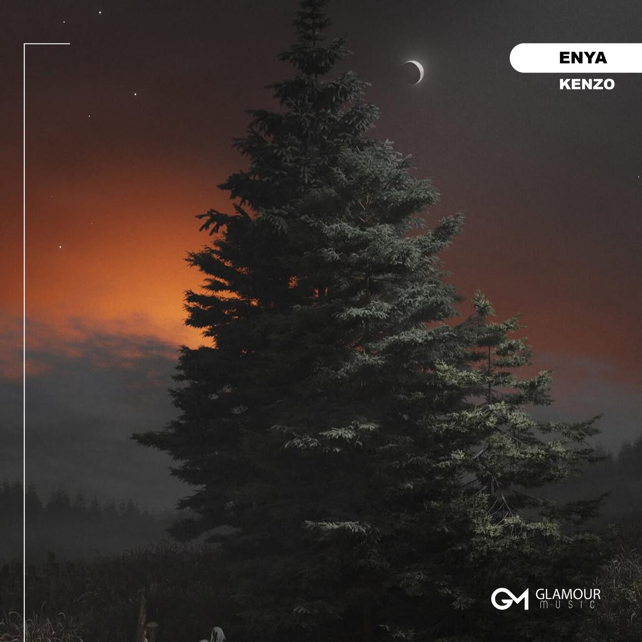 Релиз Enya