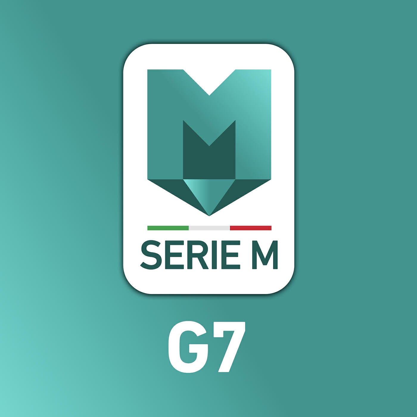 Релиз SERIE M (G7)