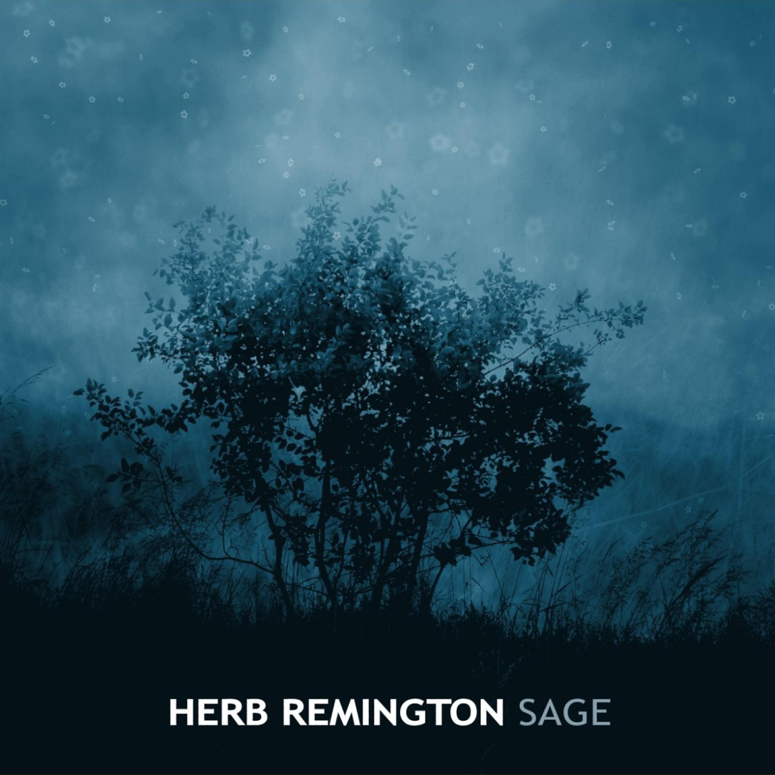 Релиз Sage