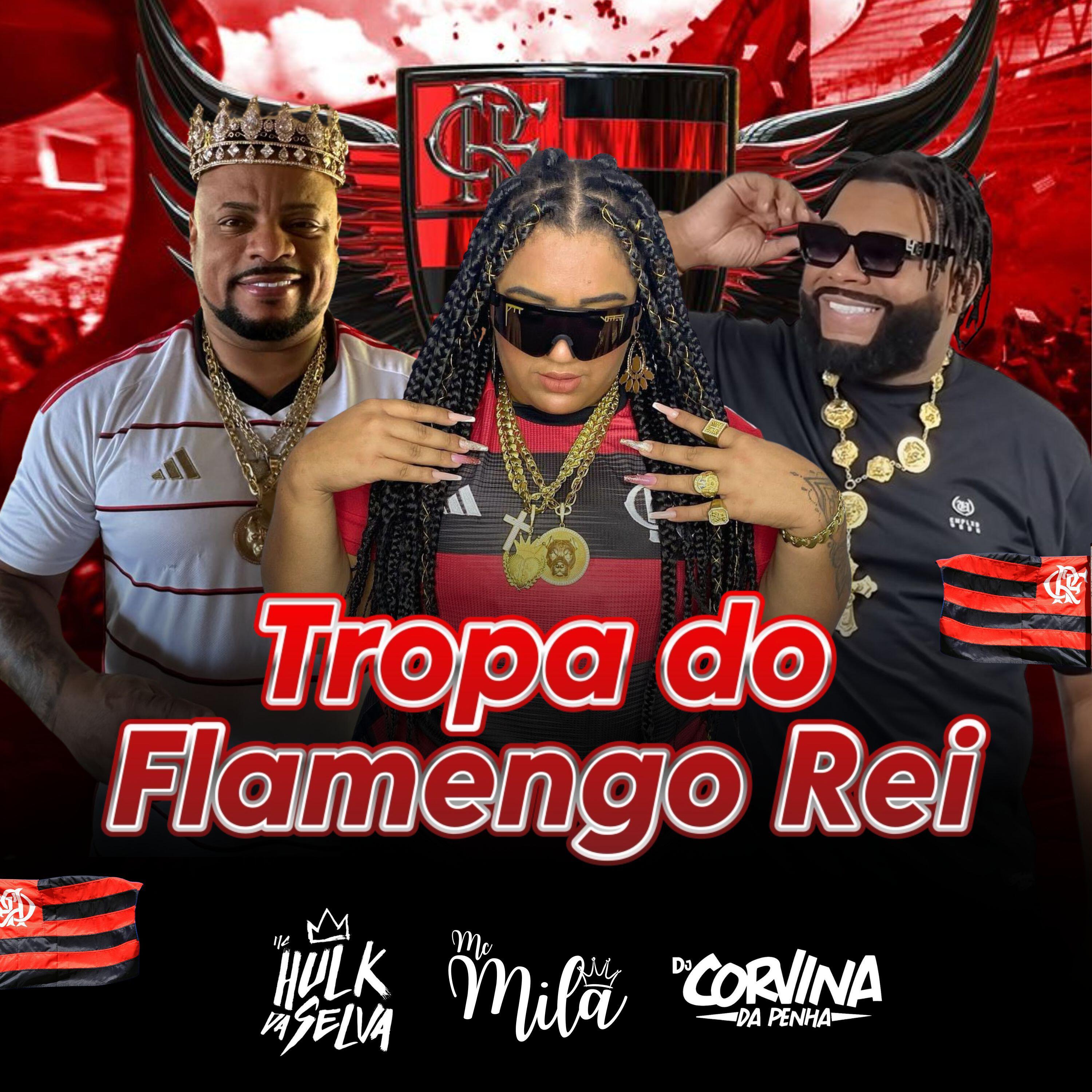 Релиз Tropa do Flamengo Rei