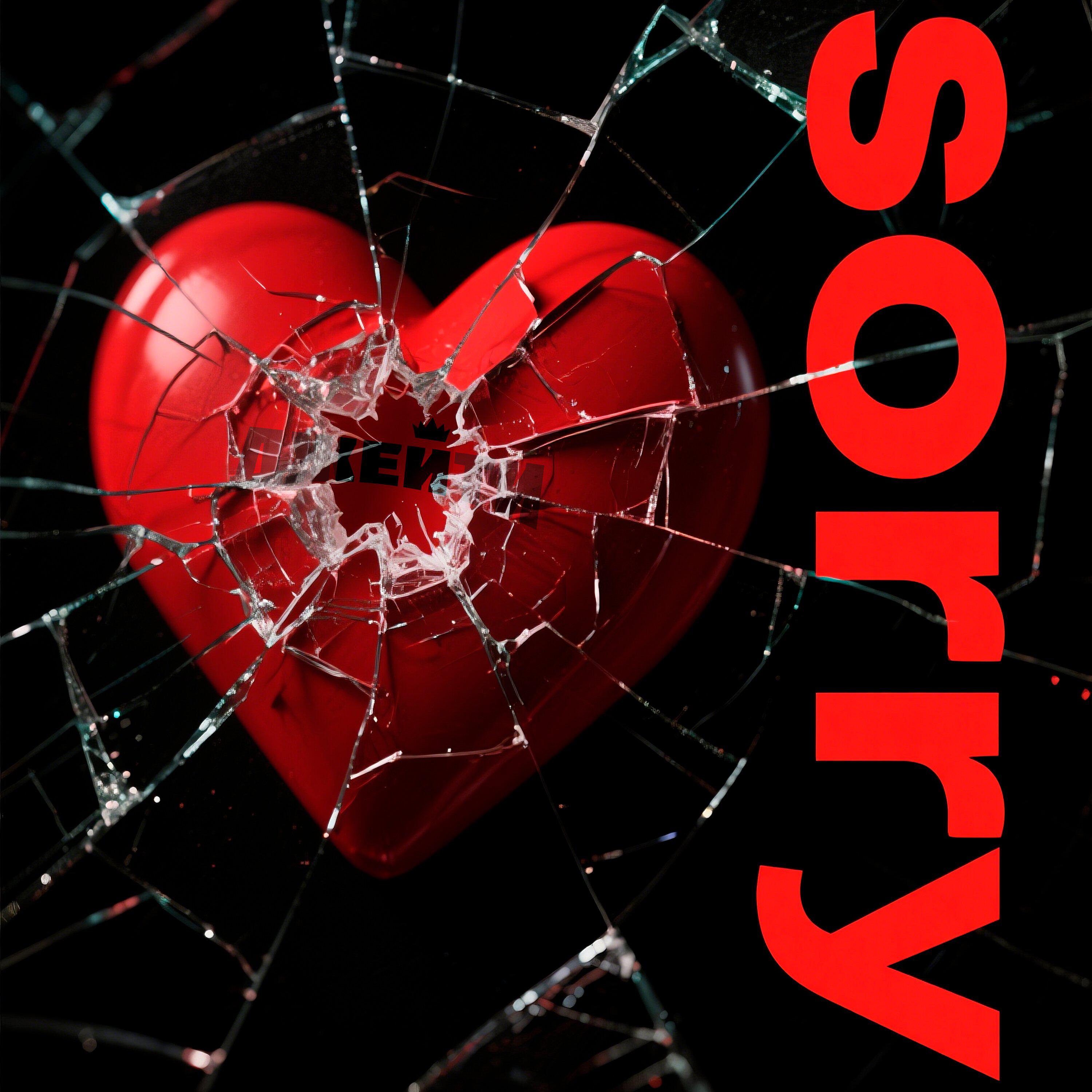 Релиз SORRY