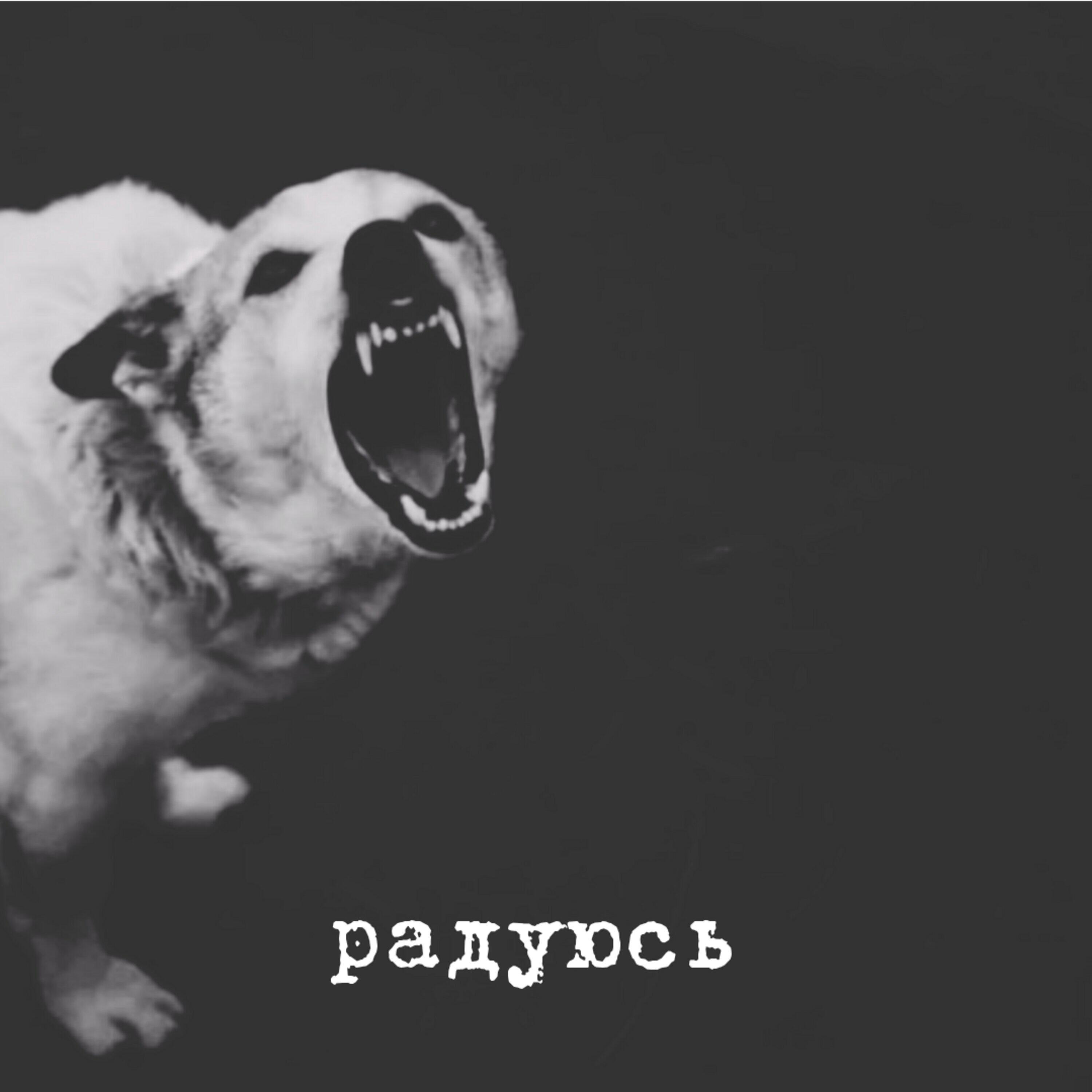 Релиз Радуюсь