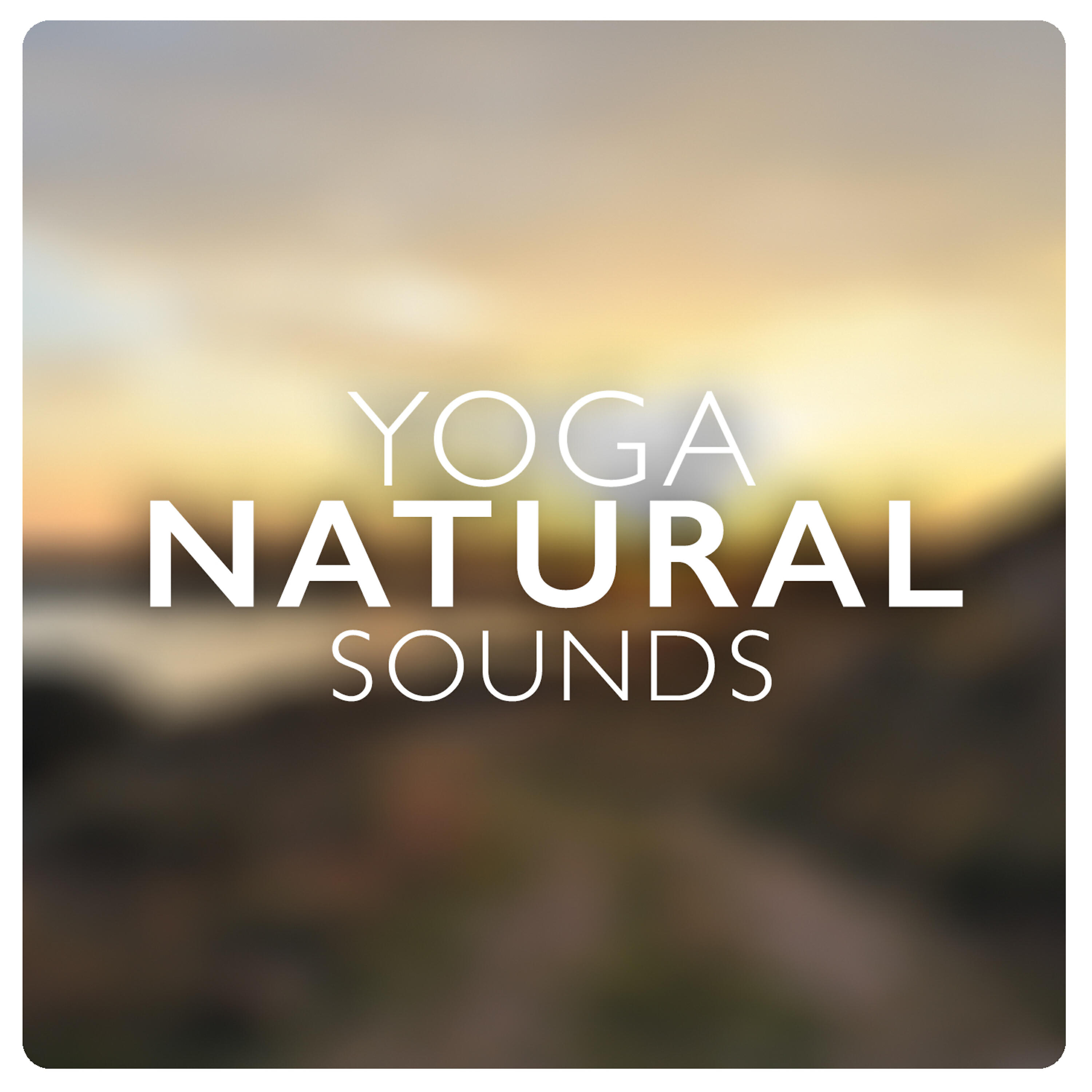 Релиз Yoga Natural Sounds