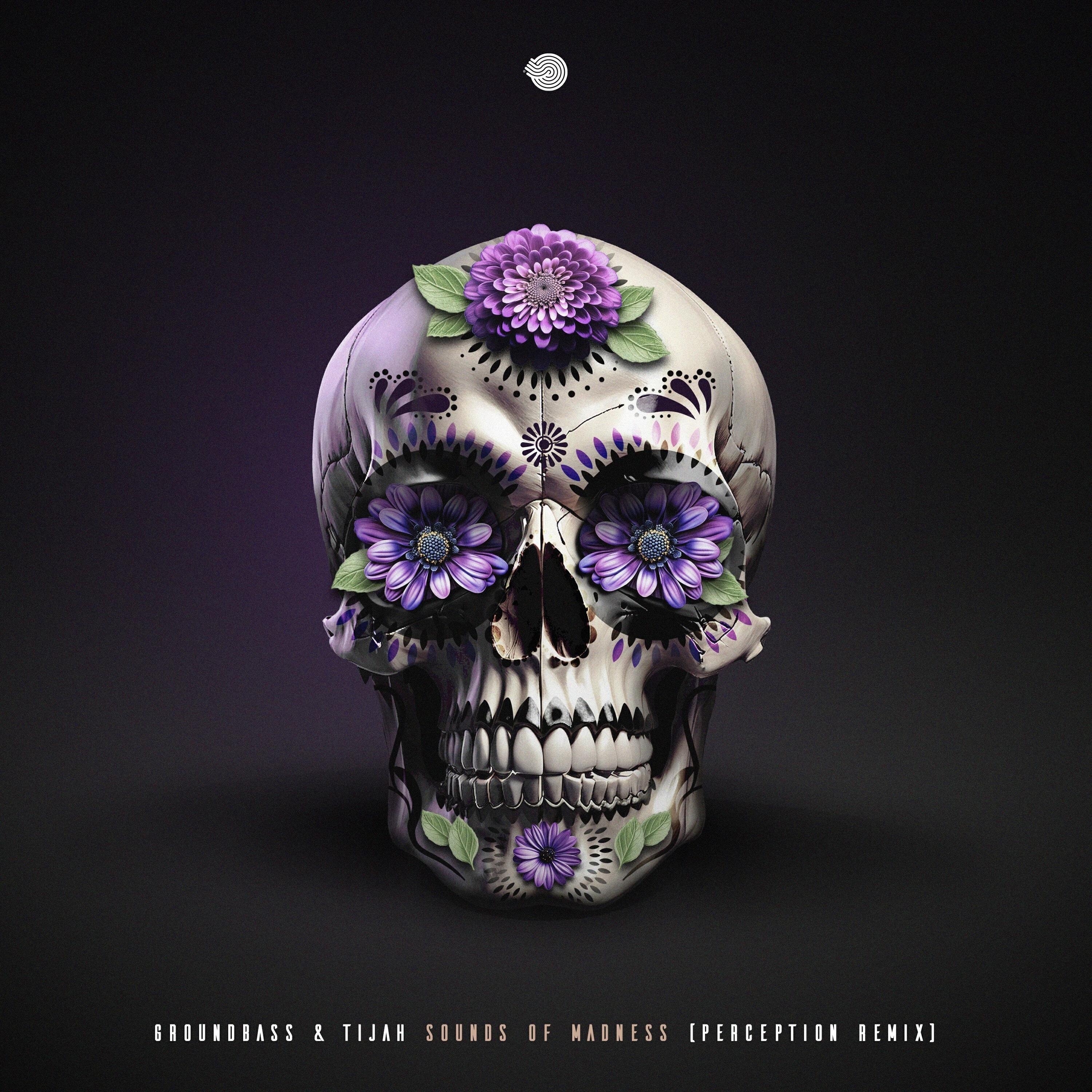 Релиз Sounds of Madness (Perception Remix)