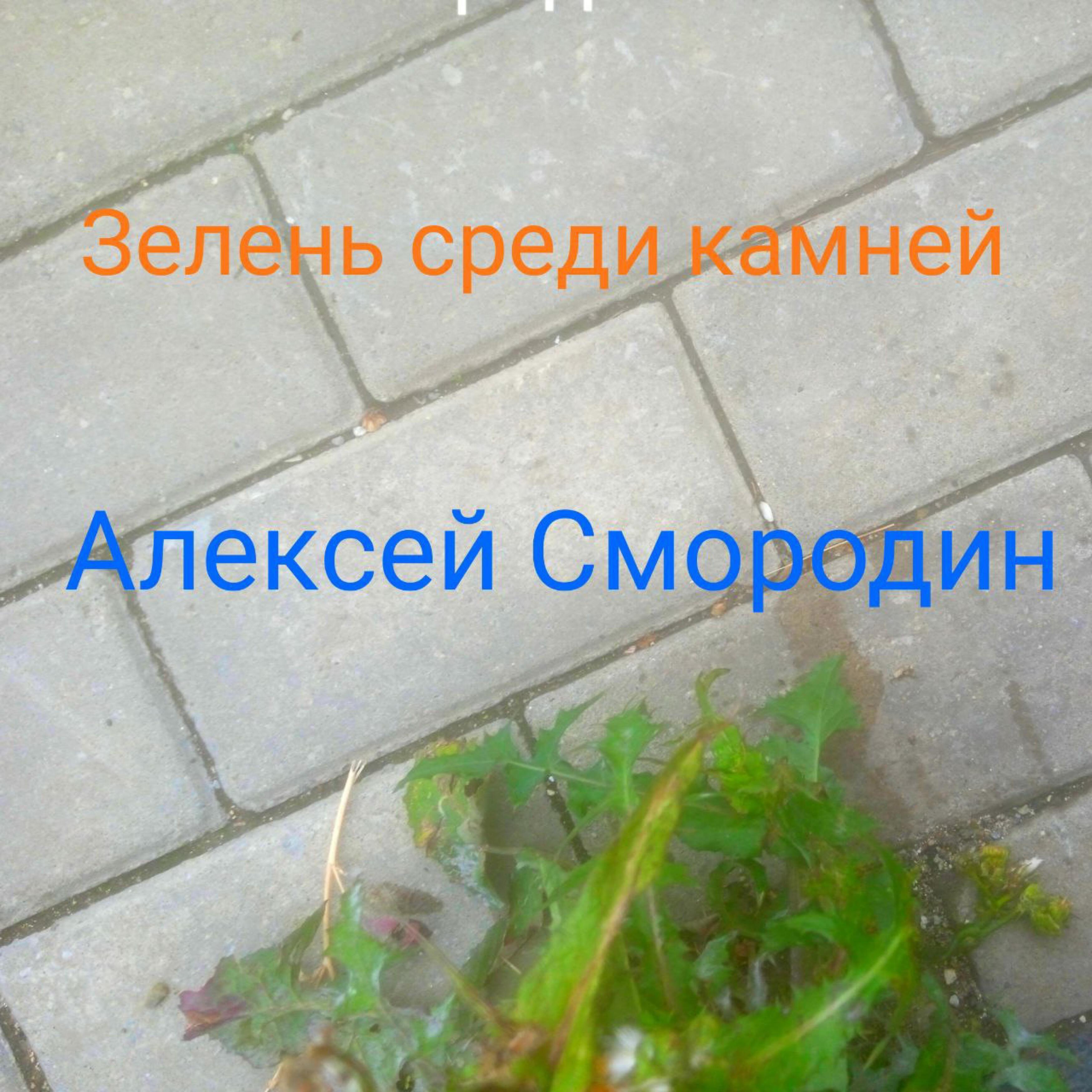 Релиз Зелень среди камней