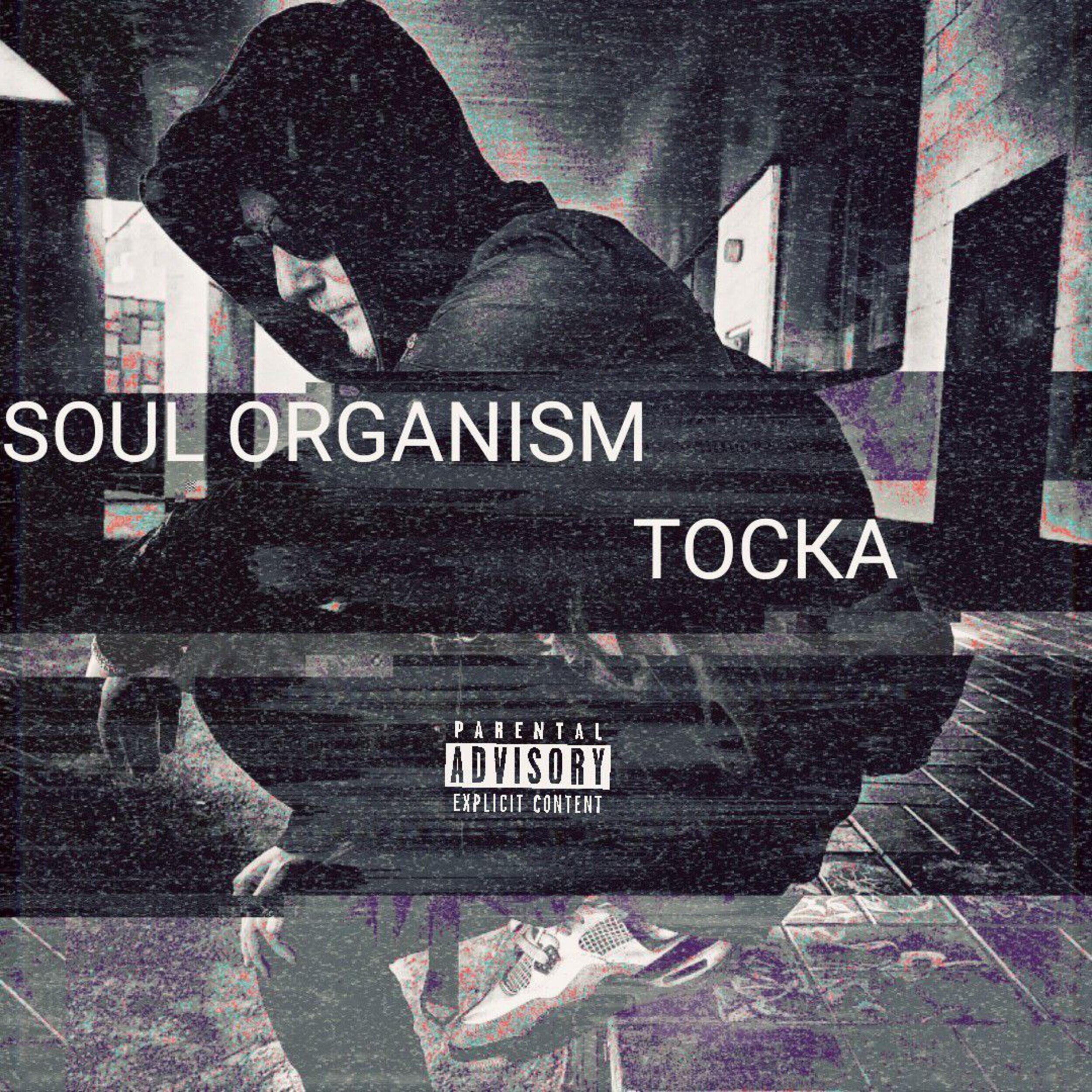 Soul Organism