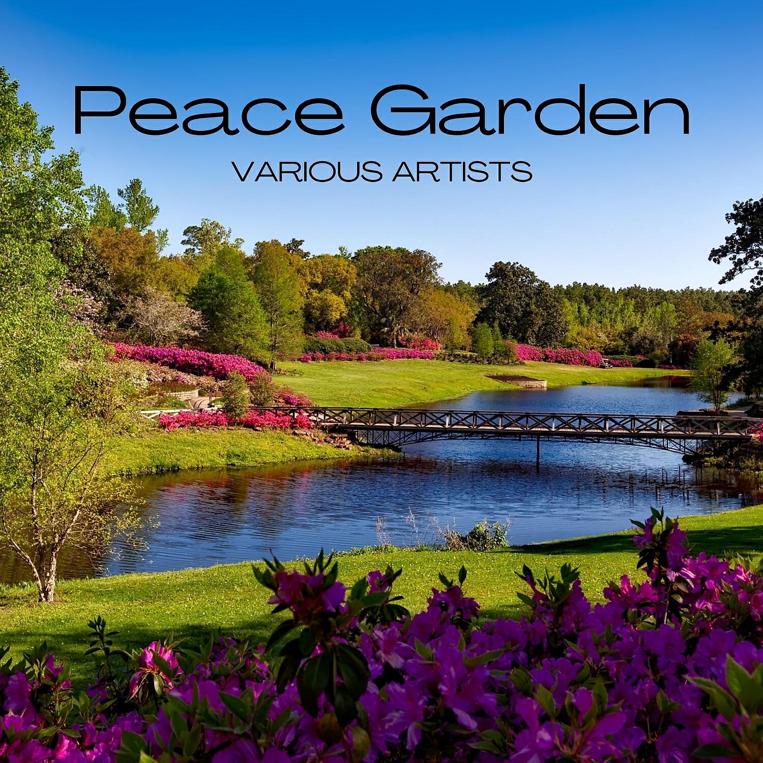 Релиз Peace Garden