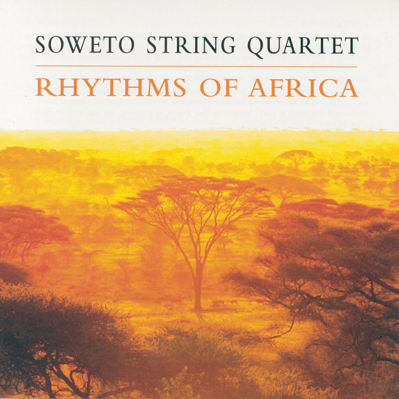 Релиз Rhythms Of Africa