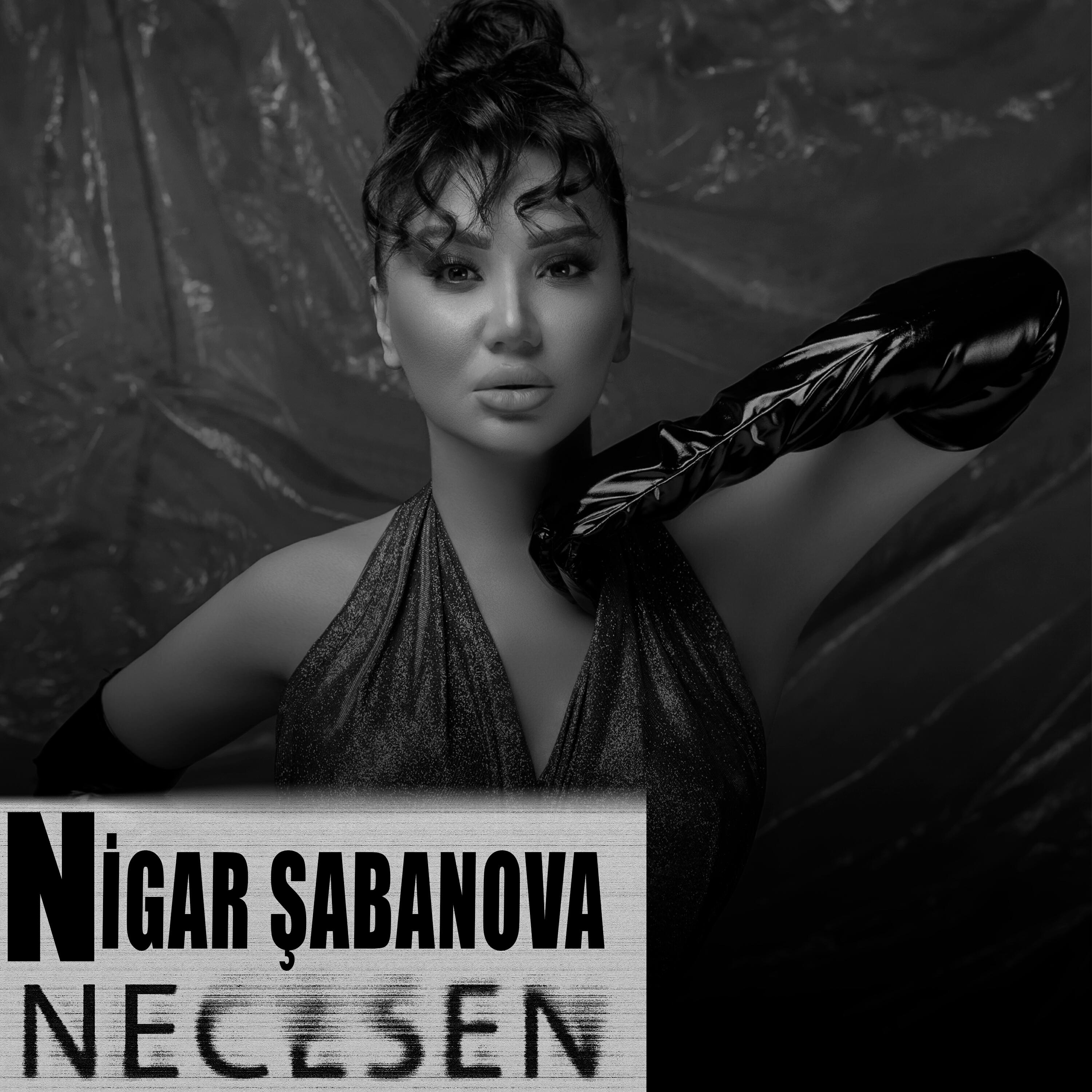 Релиз Necesen