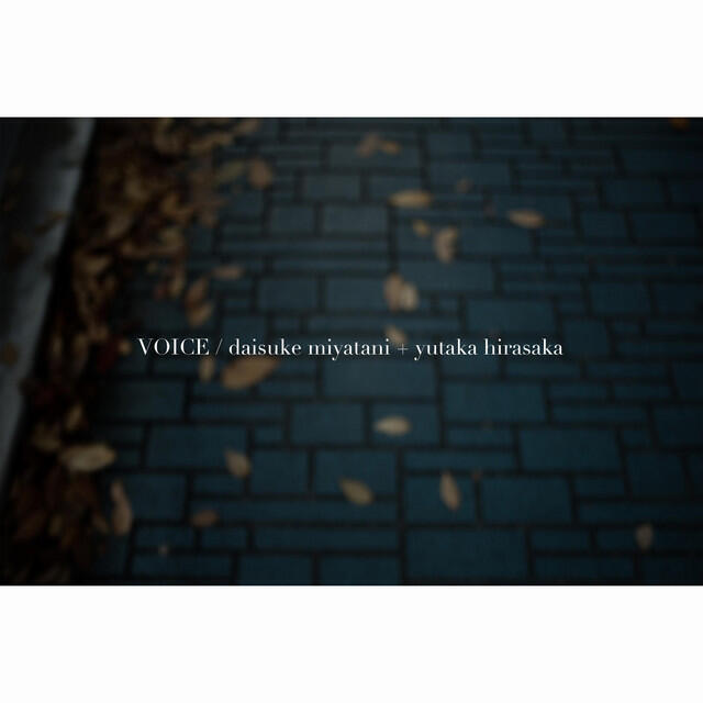 Релиз VOICE