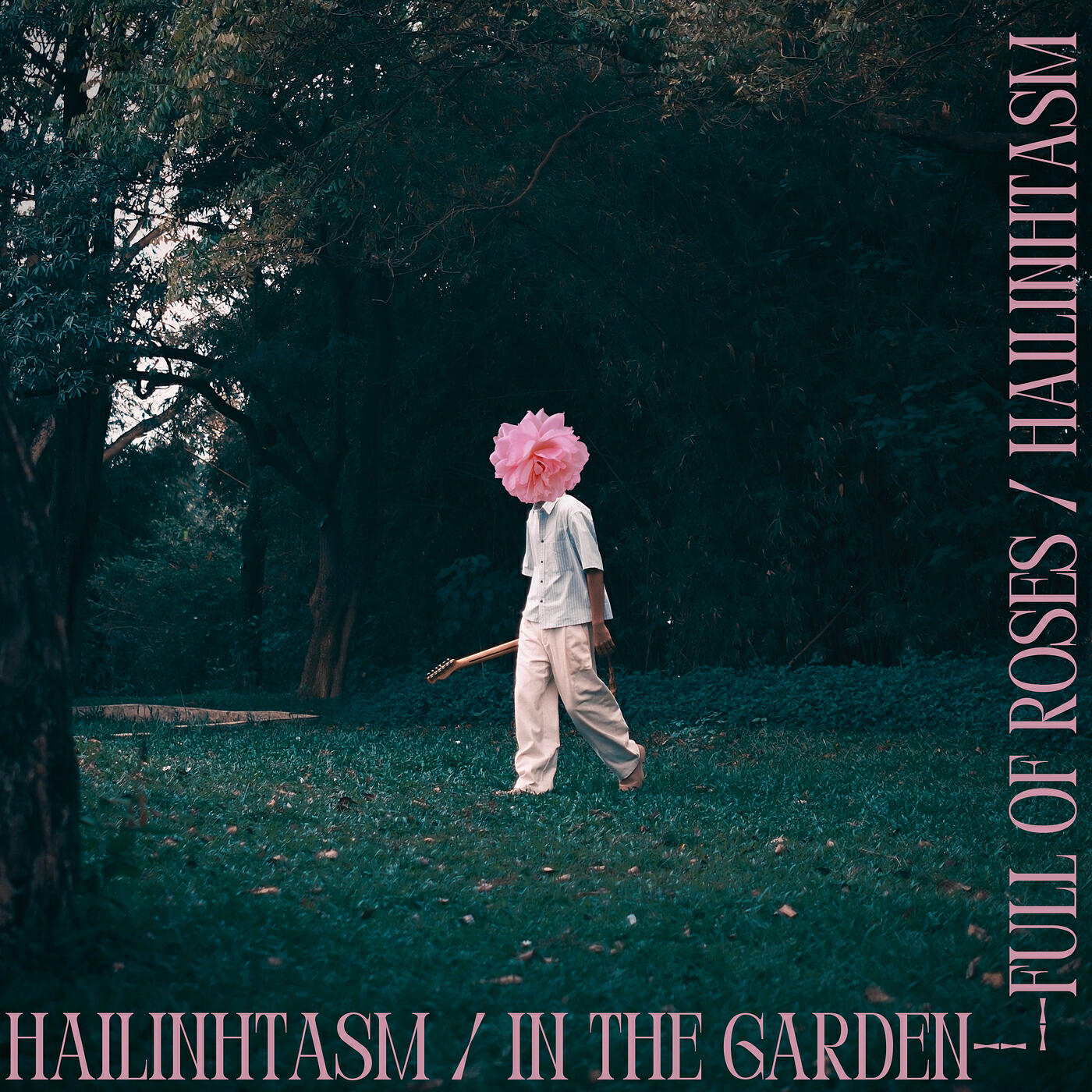 hailinhtasm