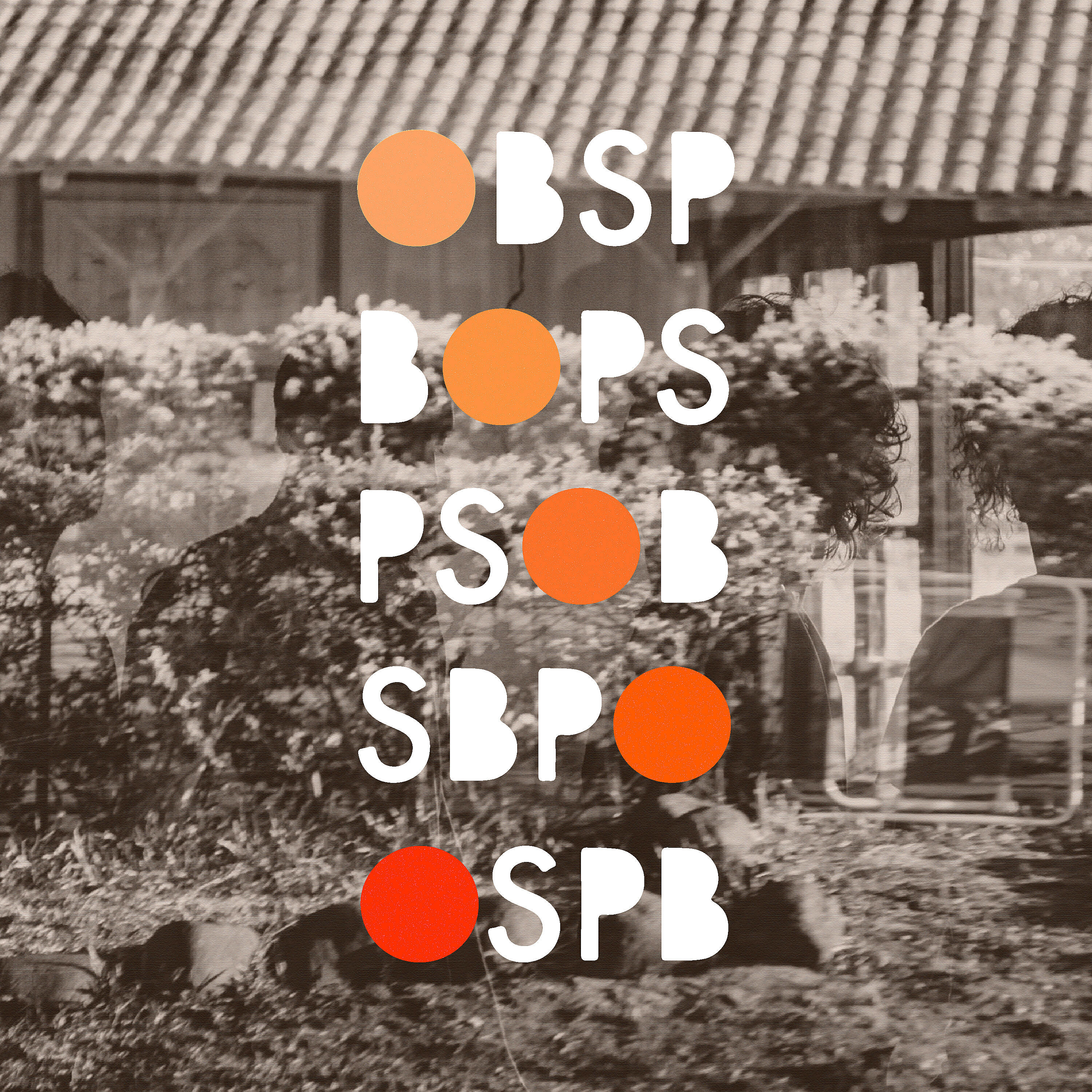 Релиз Obsp