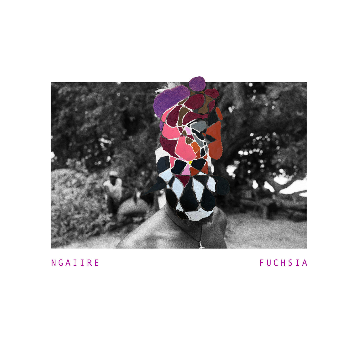 Релиз Fuchsia
