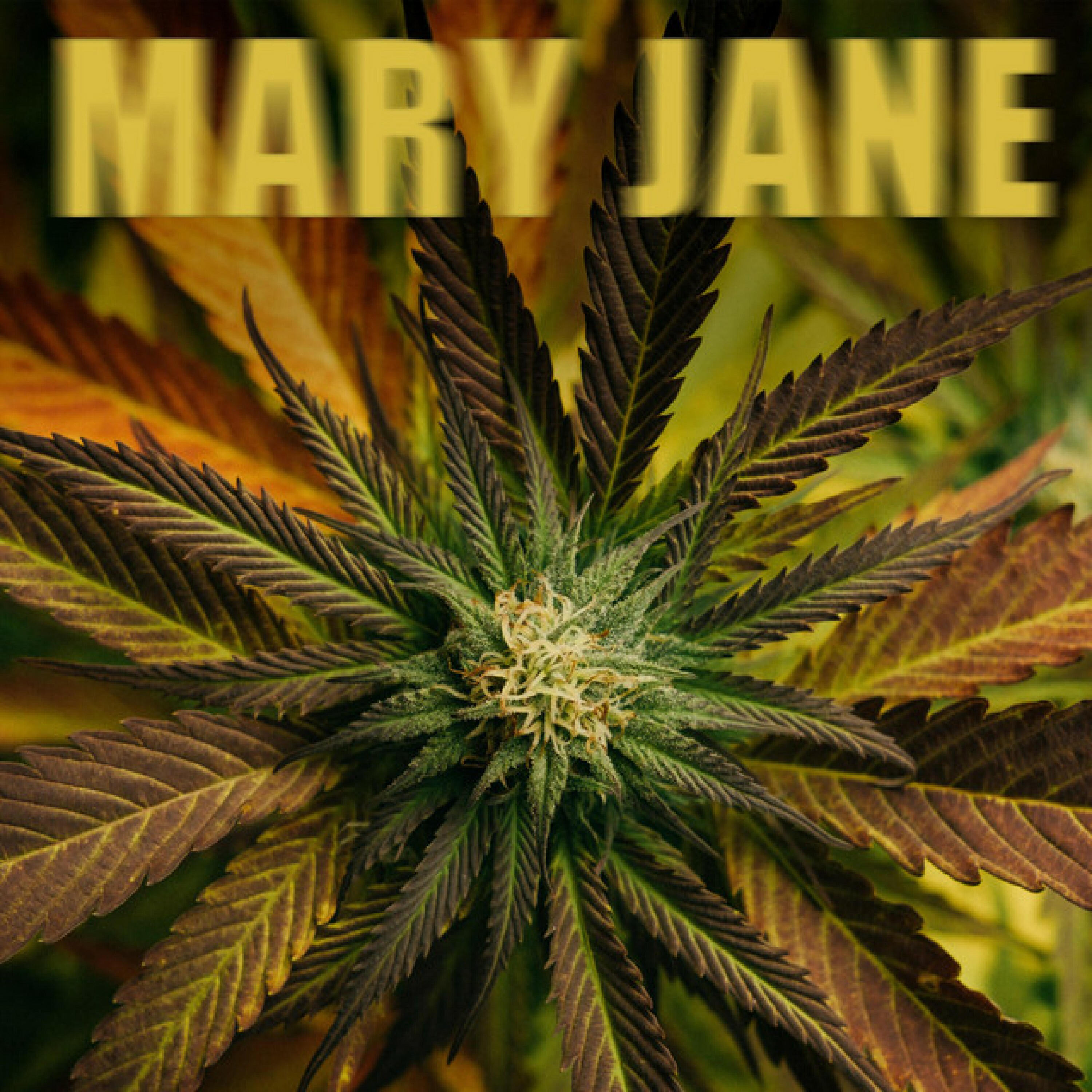Релиз Mary Jane