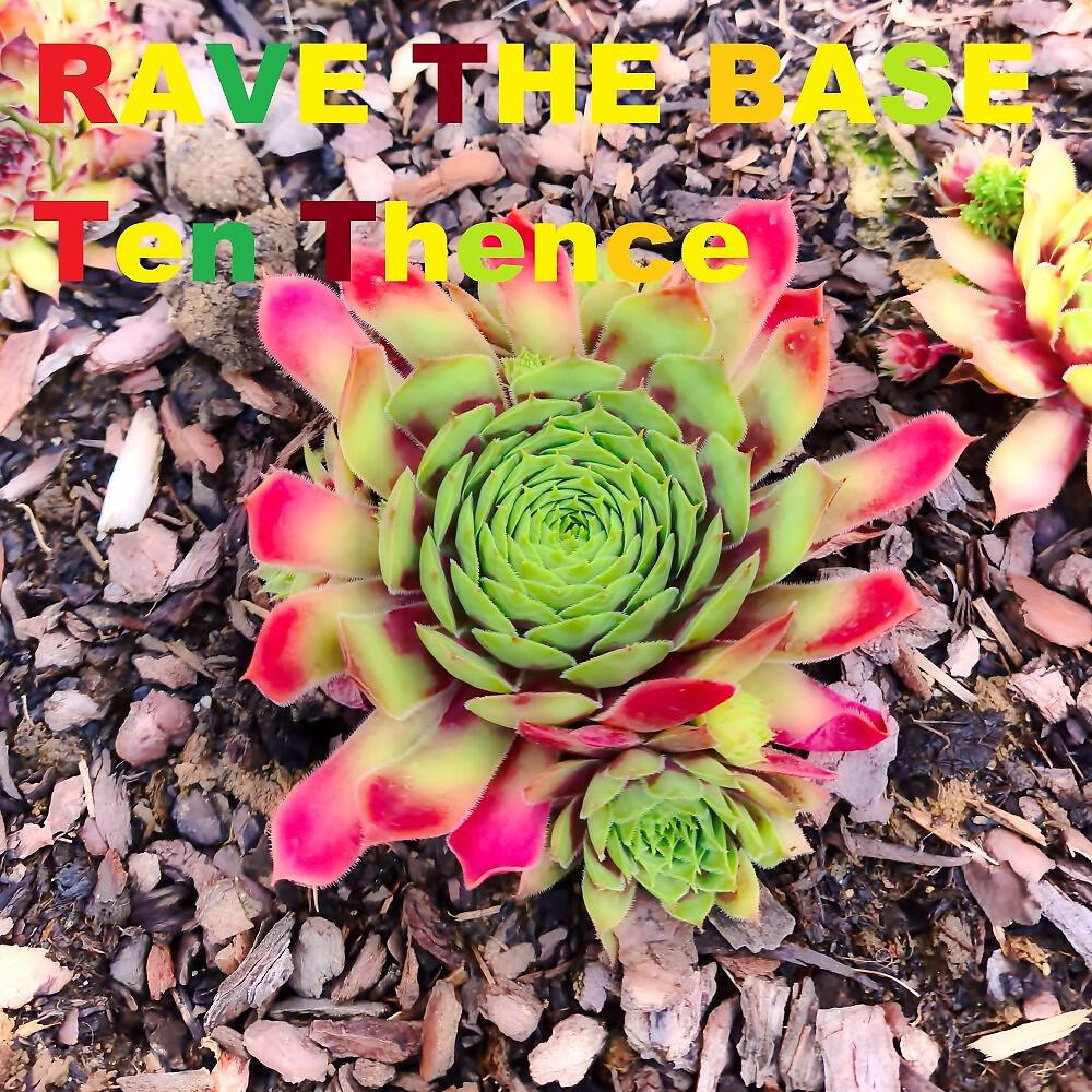 Релиз Rave the Base