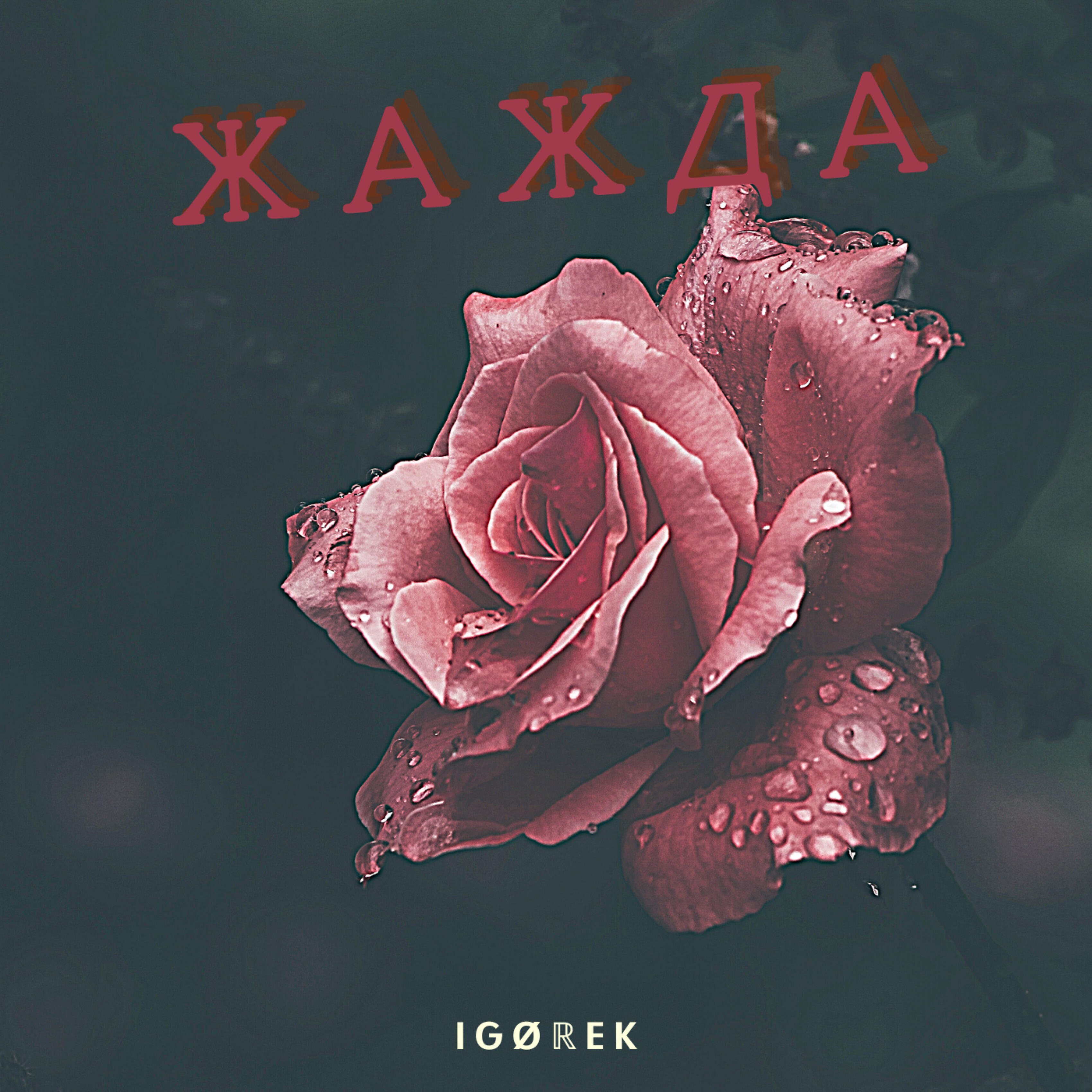 Релиз Жажда