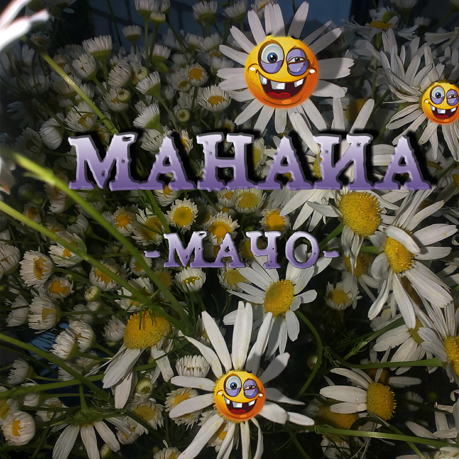 Релиз Мачо