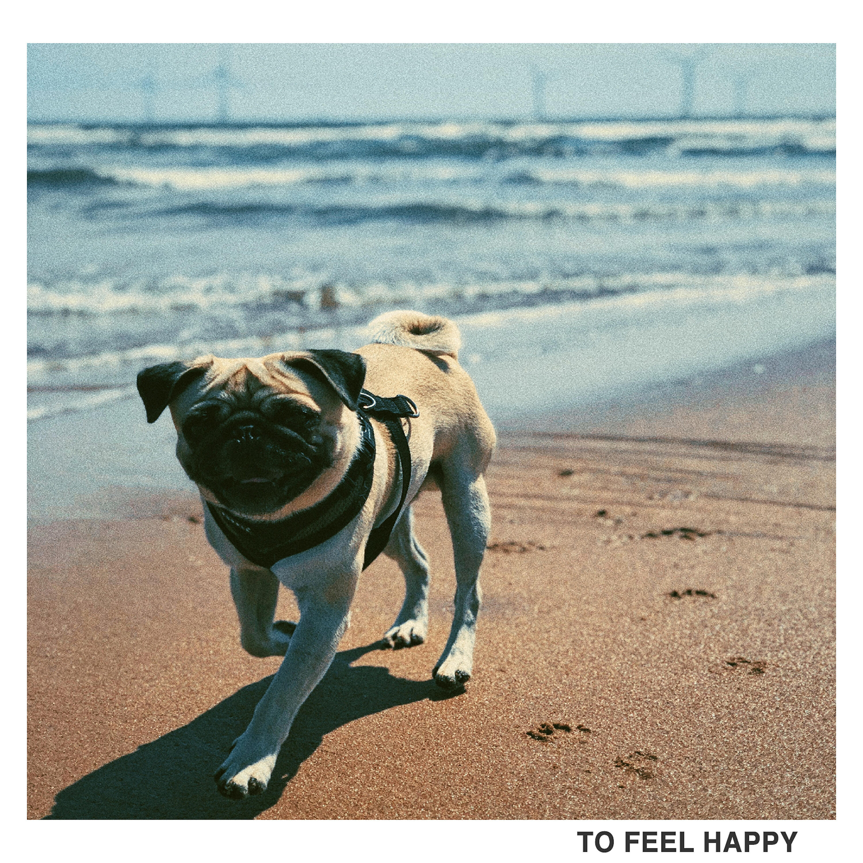 Релиз To Feel Happy