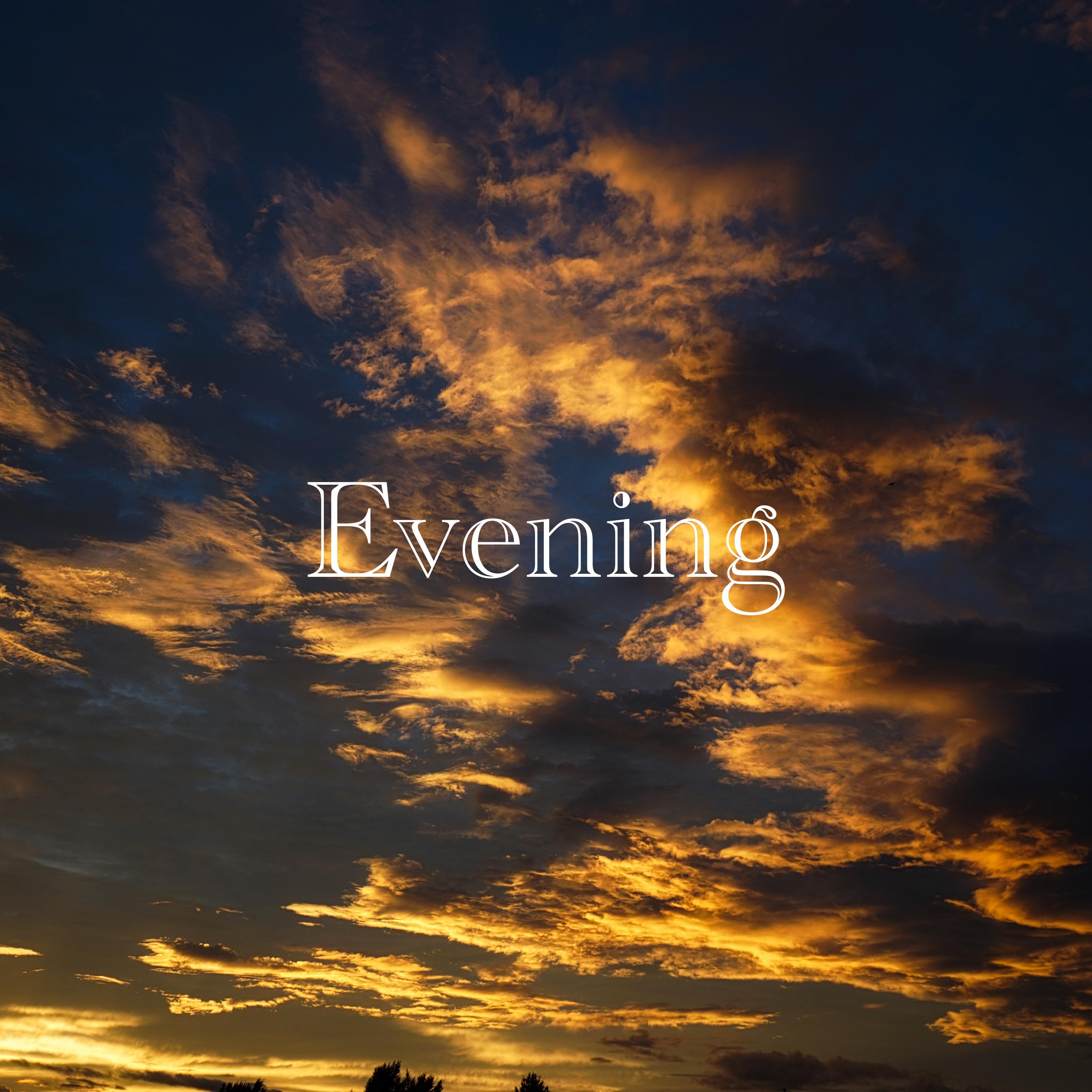 Постер альбома Evening