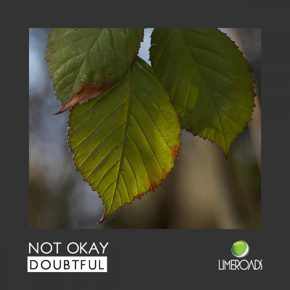 Релиз Doubtful