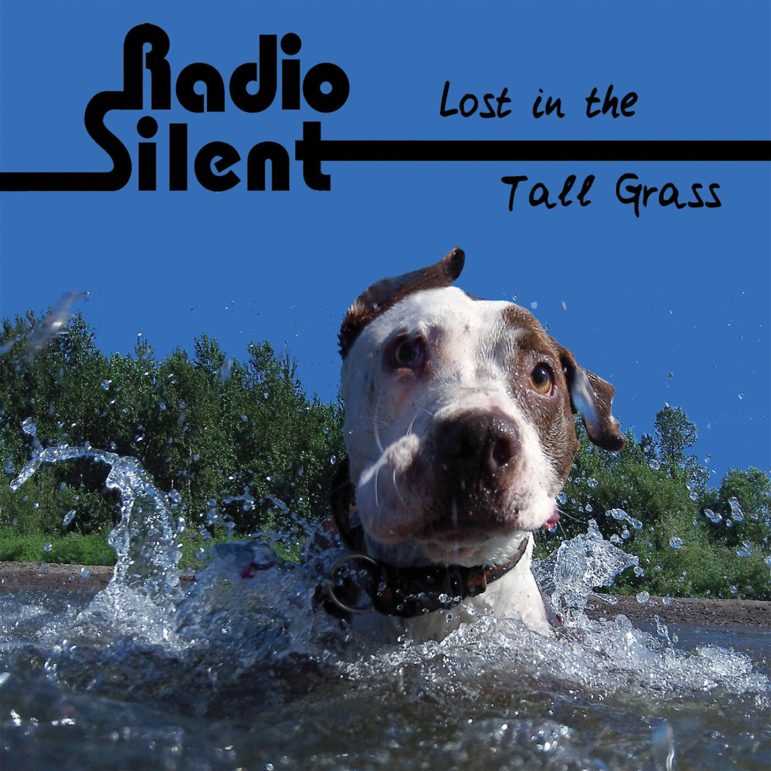 Релиз Lost in the Tall Grass