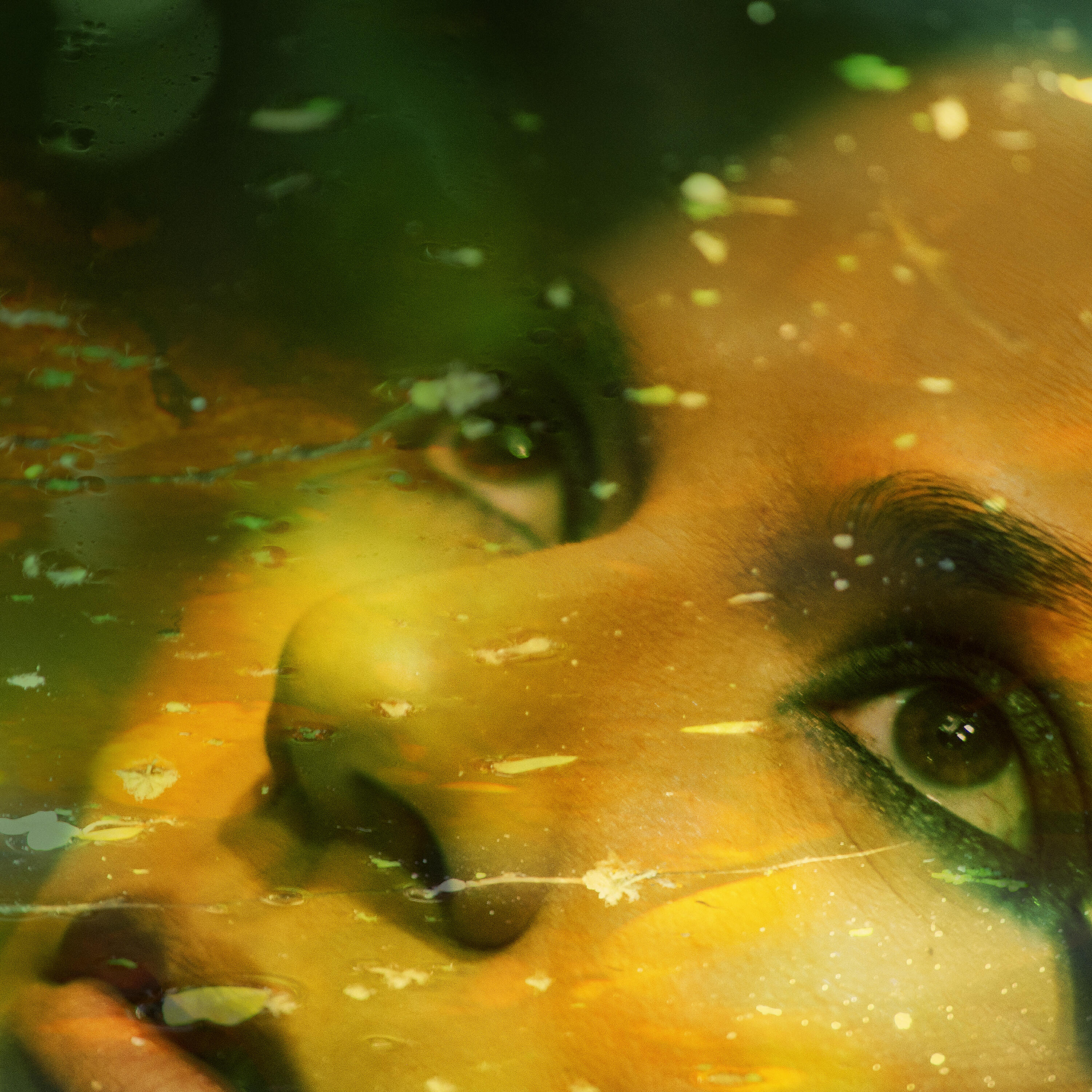 Релиз Sete Mil Léguas