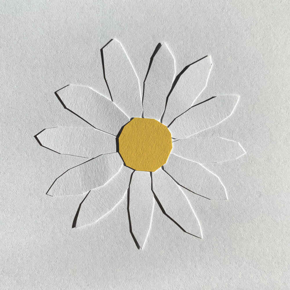 Релиз Daisies on a Rock