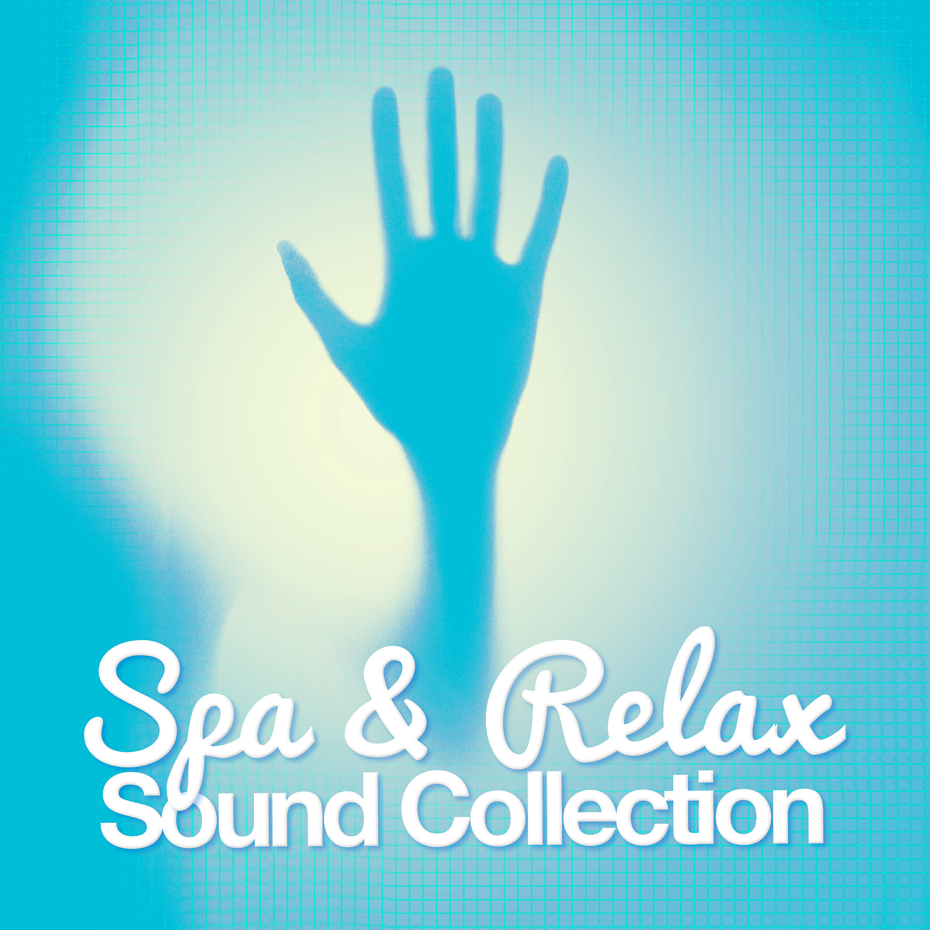 Релиз Spa & Relax: Sound Collection