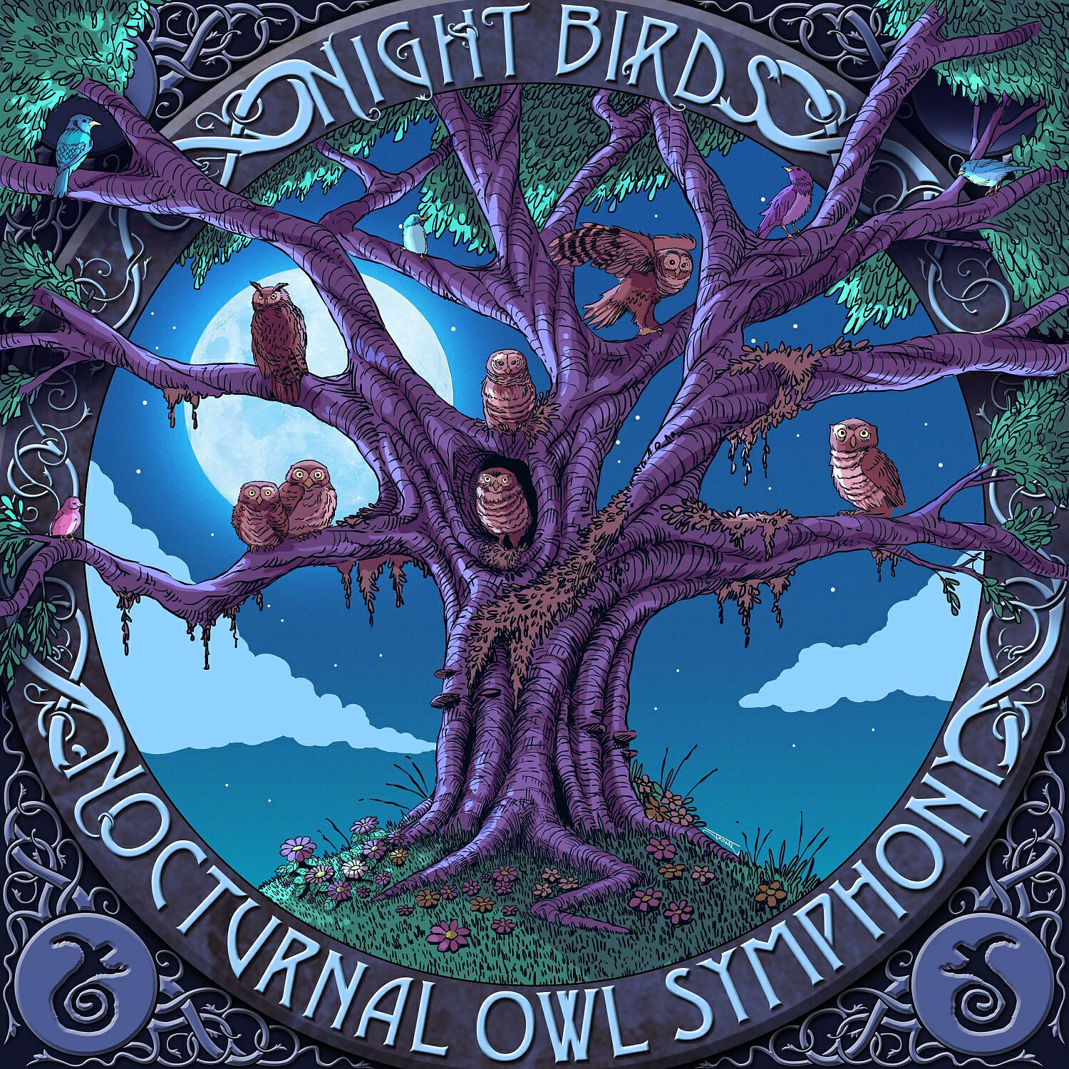 Релиз Nocturnal Owl Symphony