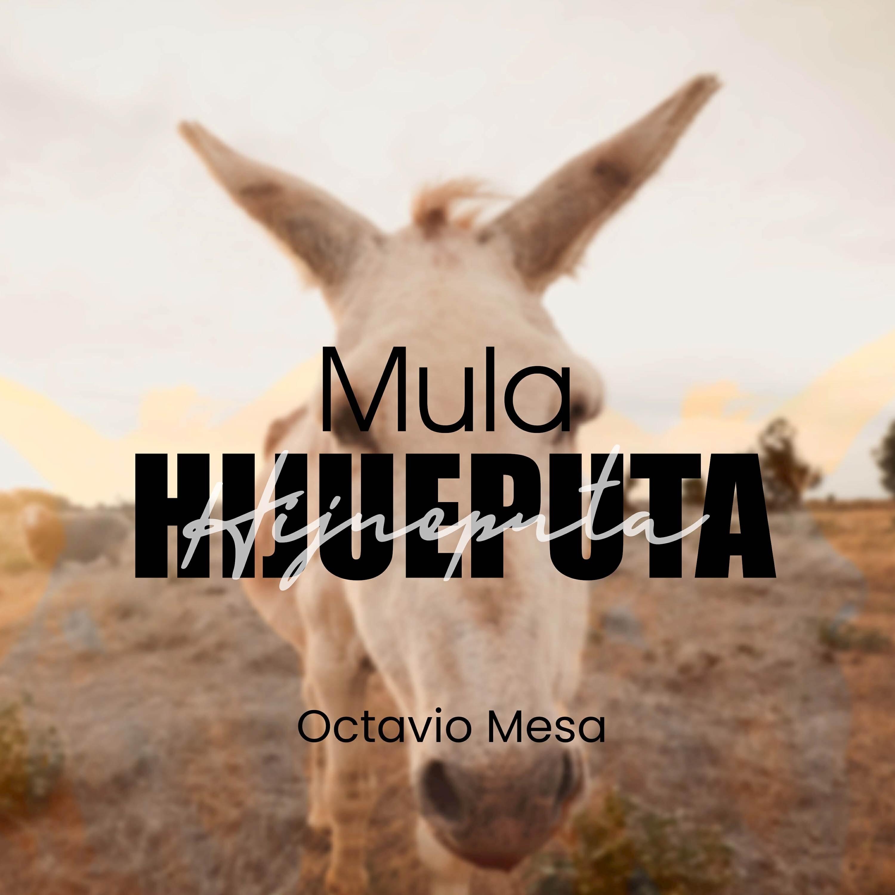 Релиз Mula Hijueputa