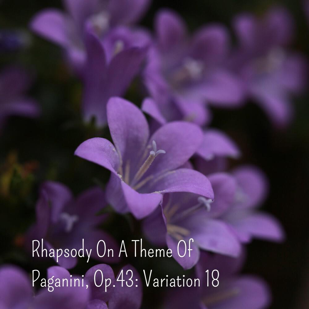 Релиз Rhapsody on a Theme of Paganini, Op. 43: Variation 18
