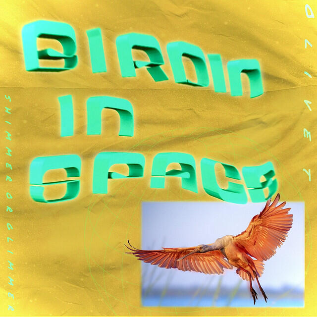 Релиз Birdin In Space