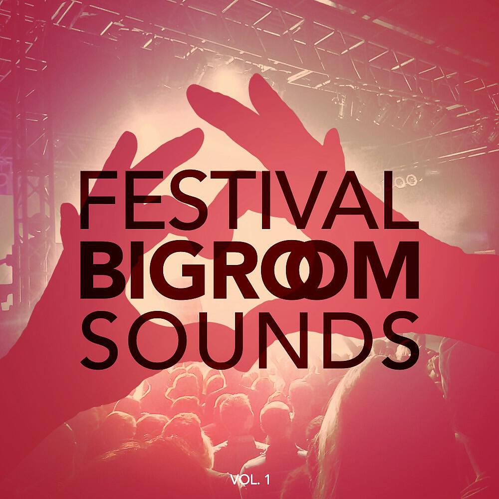 Релиз Festival Bigroom Sounds, Vol. 1