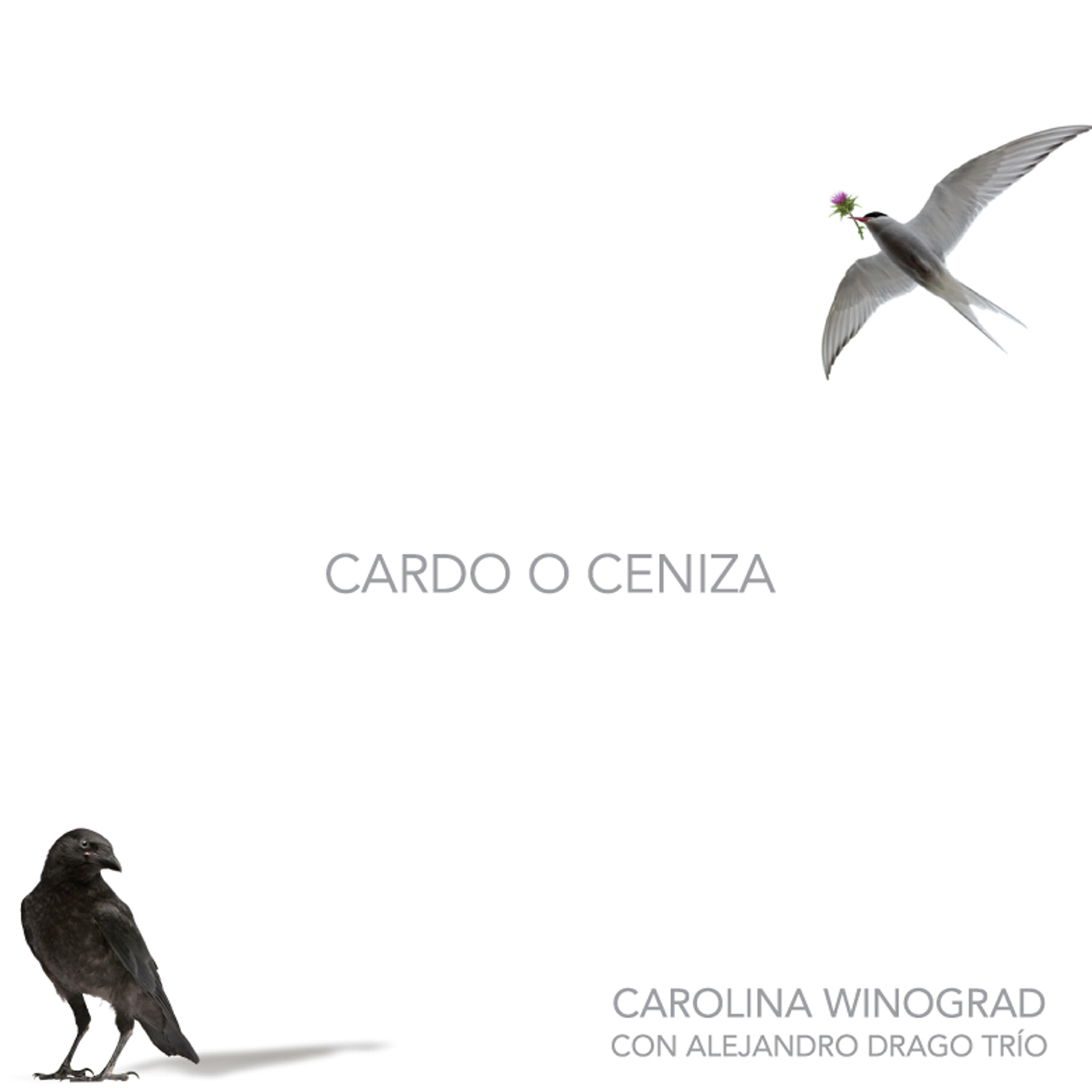 Релиз Cardo o Ceniza