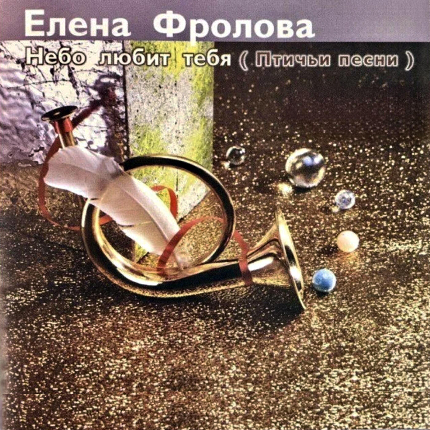 Постер альбома Небо любит тебя (Птичьи песни)