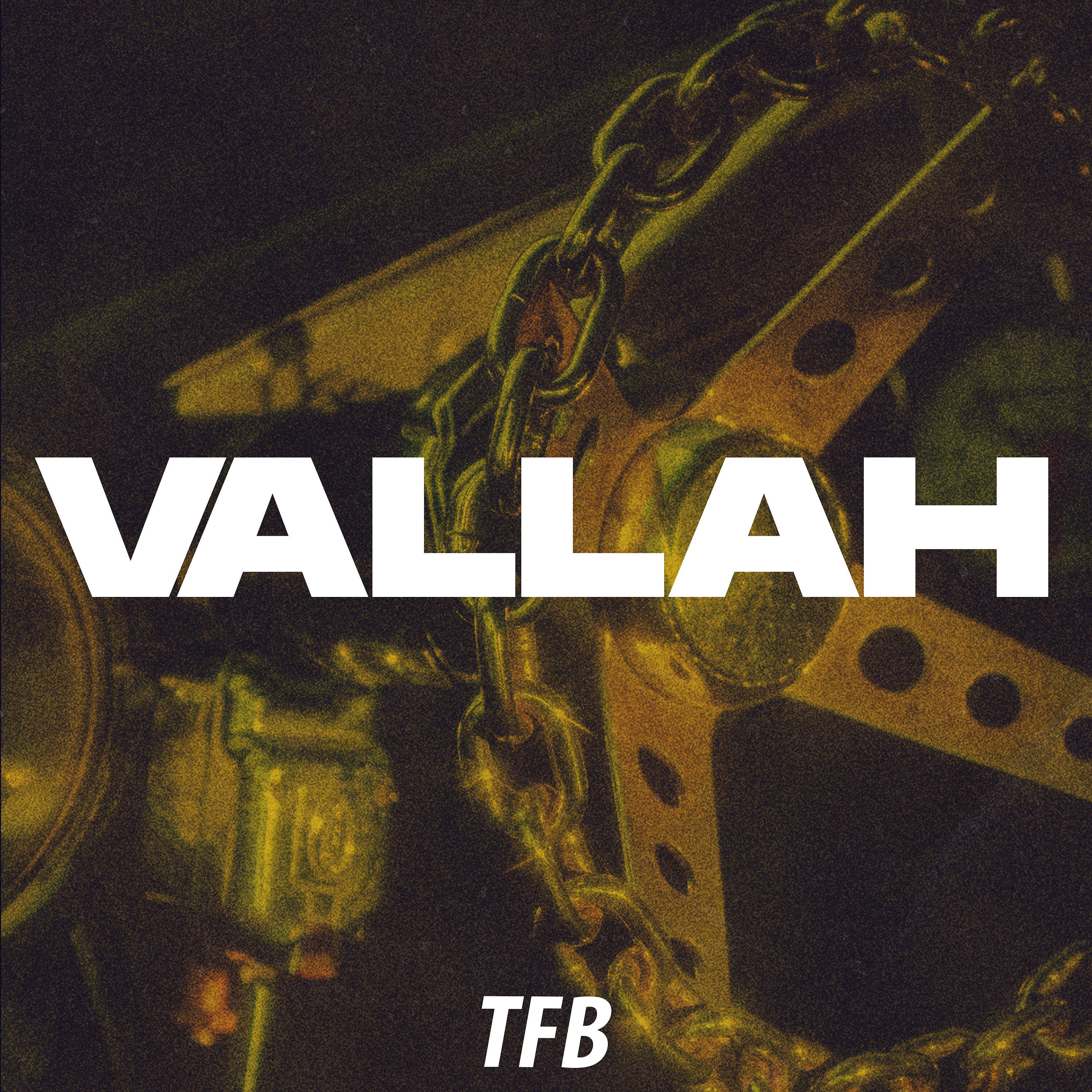Постер альбома Vallah