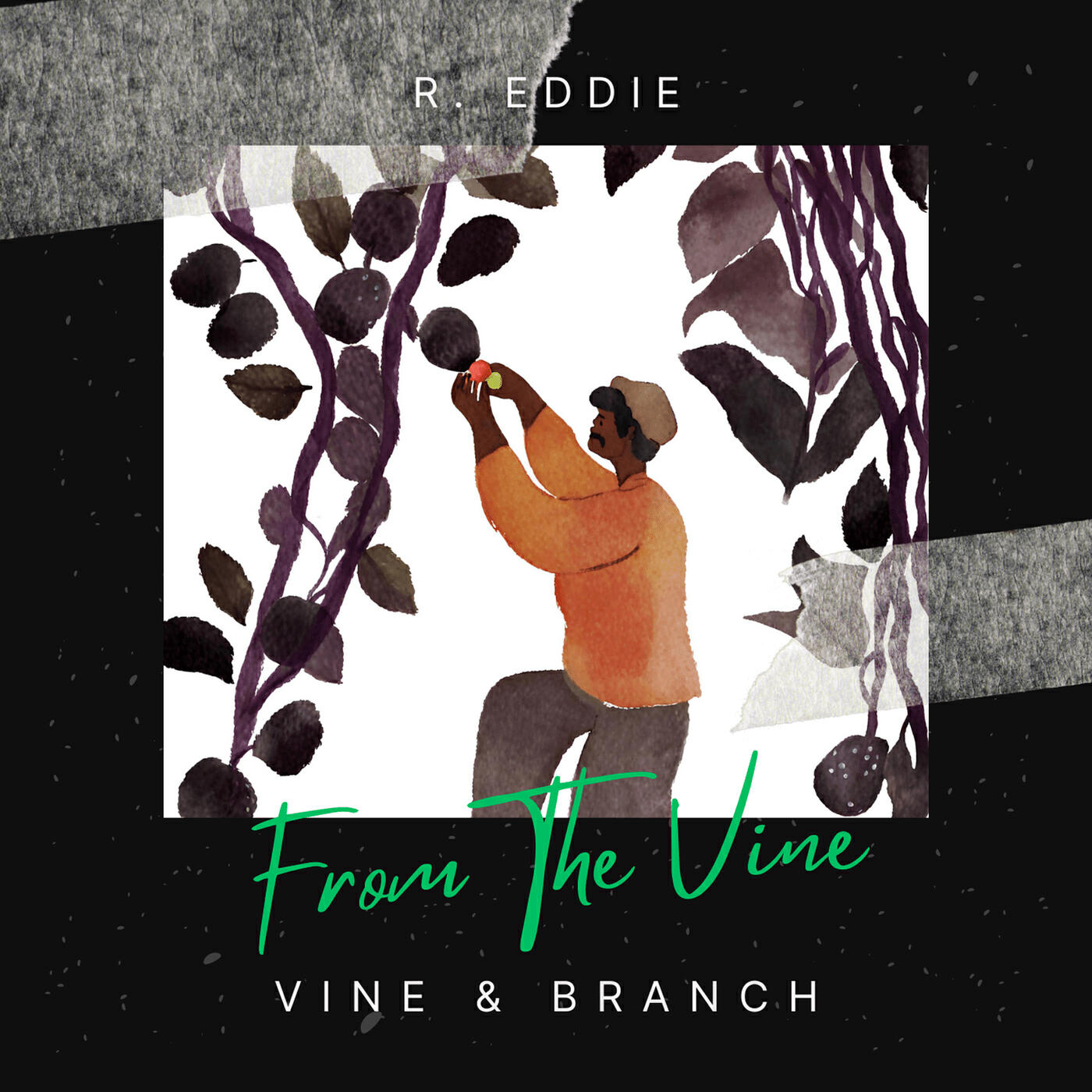 Релиз From the Vine