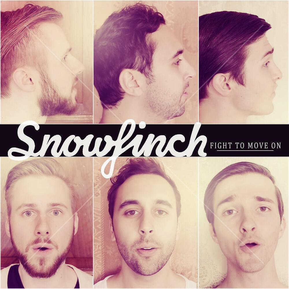Snow Finch