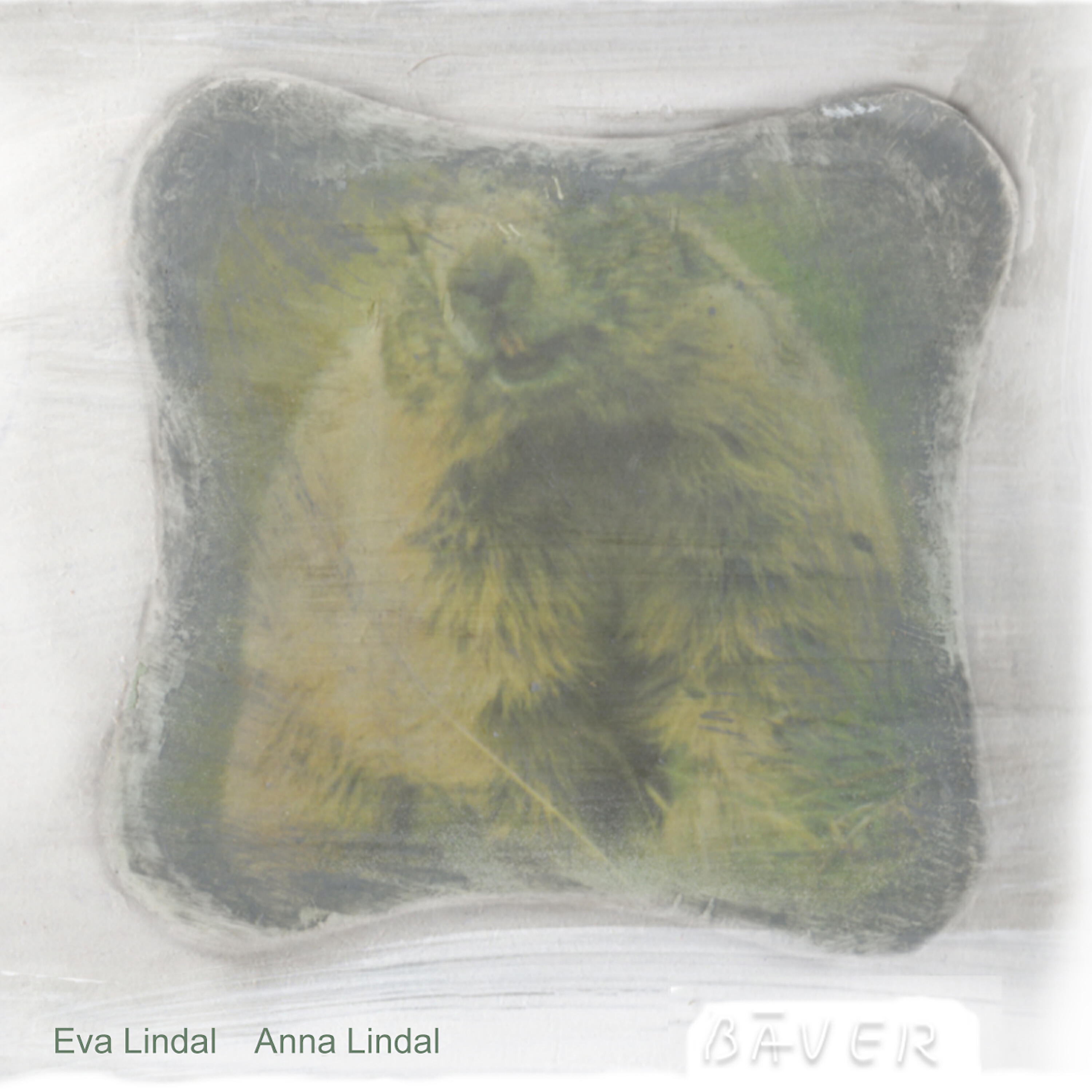 Релиз Bäver