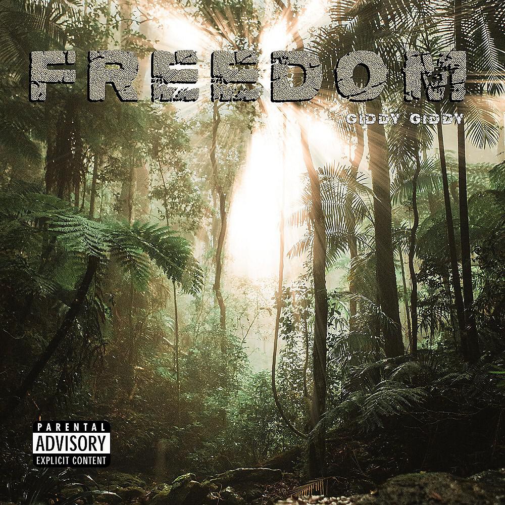 Релиз Freedom
