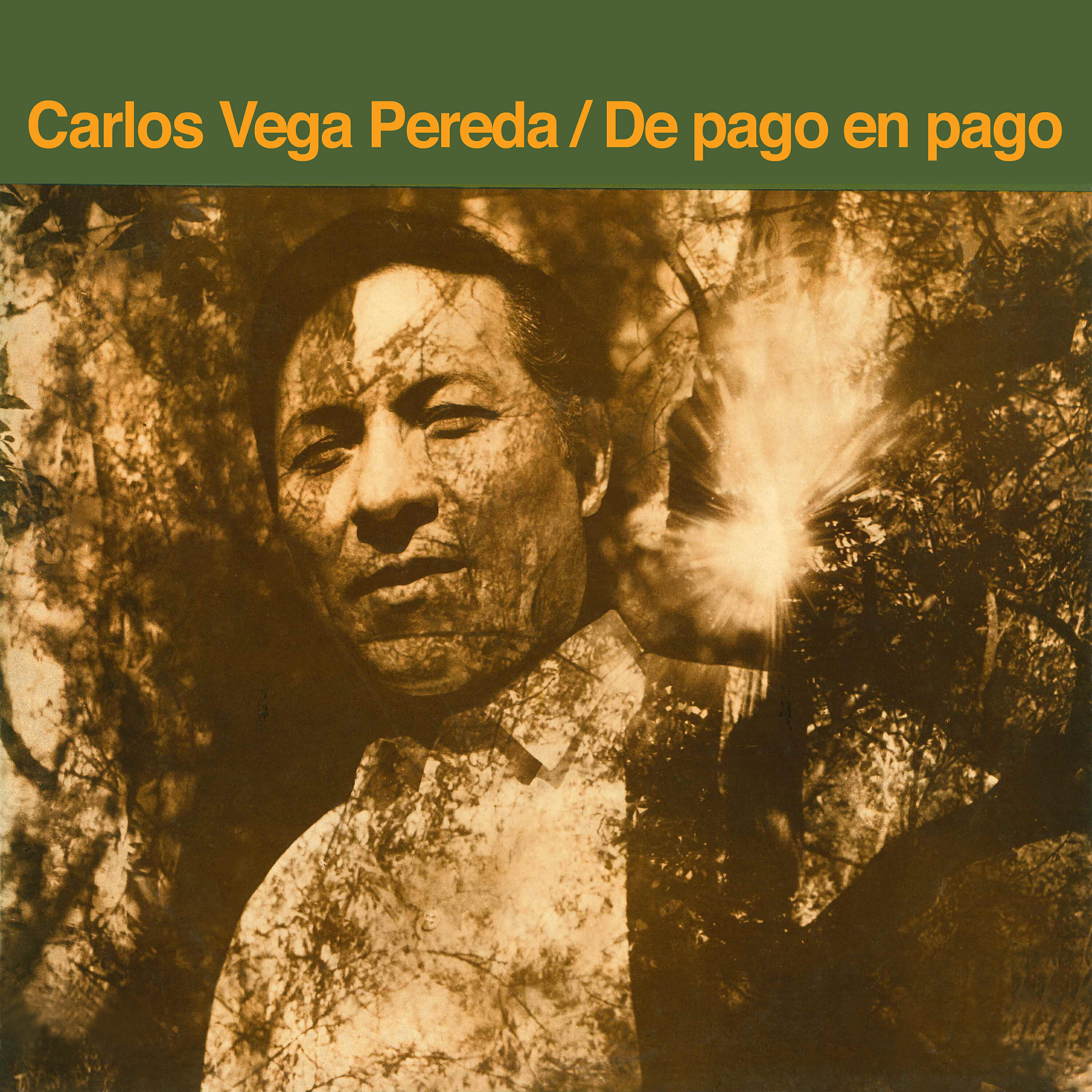 Carlos Vega Pereda