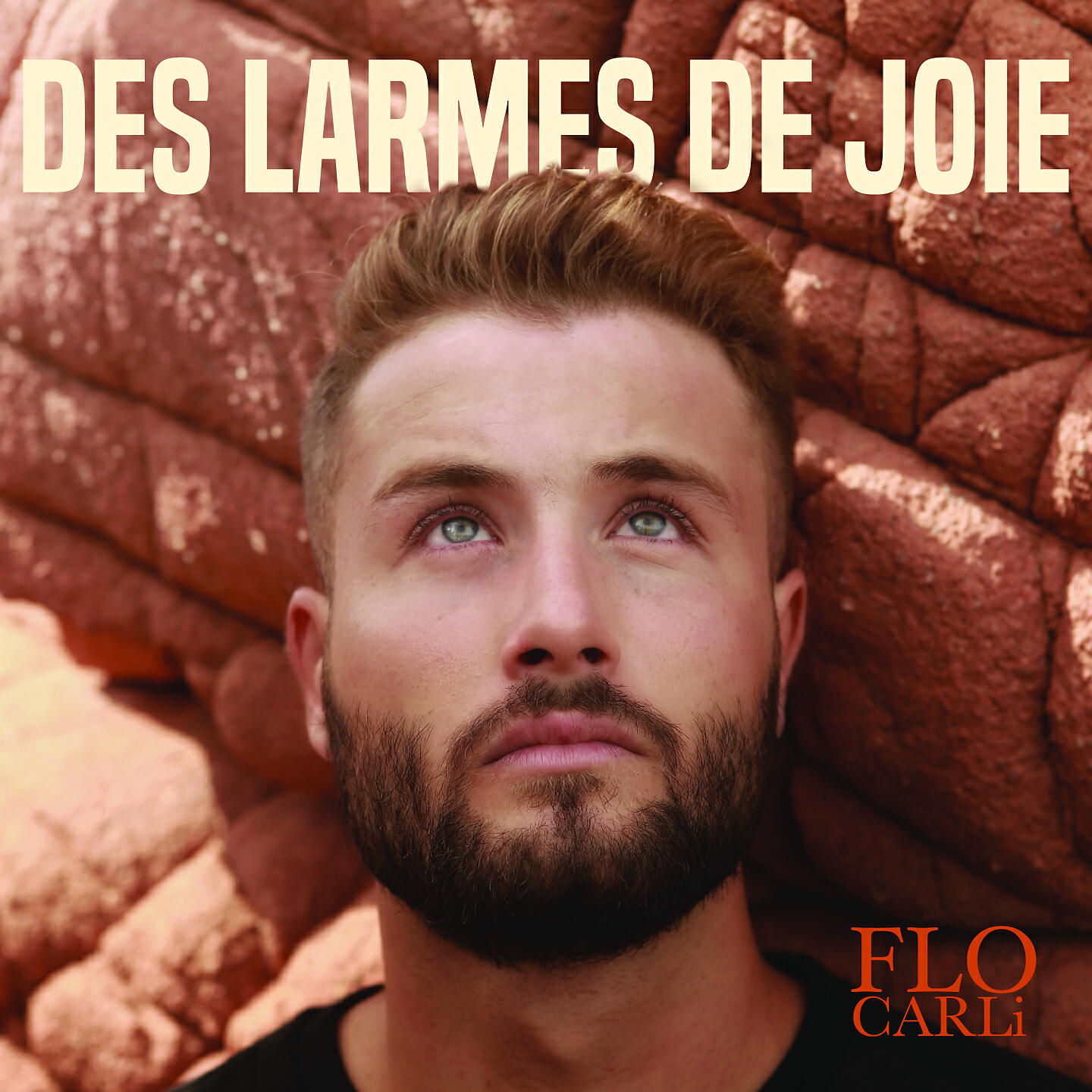 Релиз Des larmes de joie