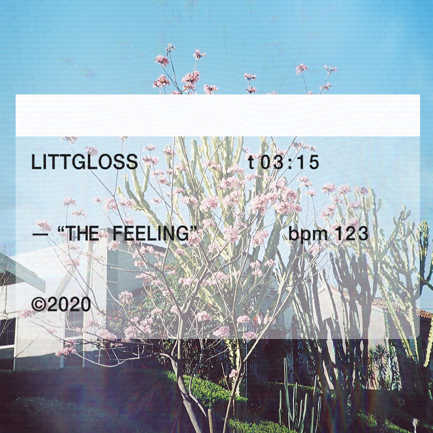 Постер альбома The Feeling