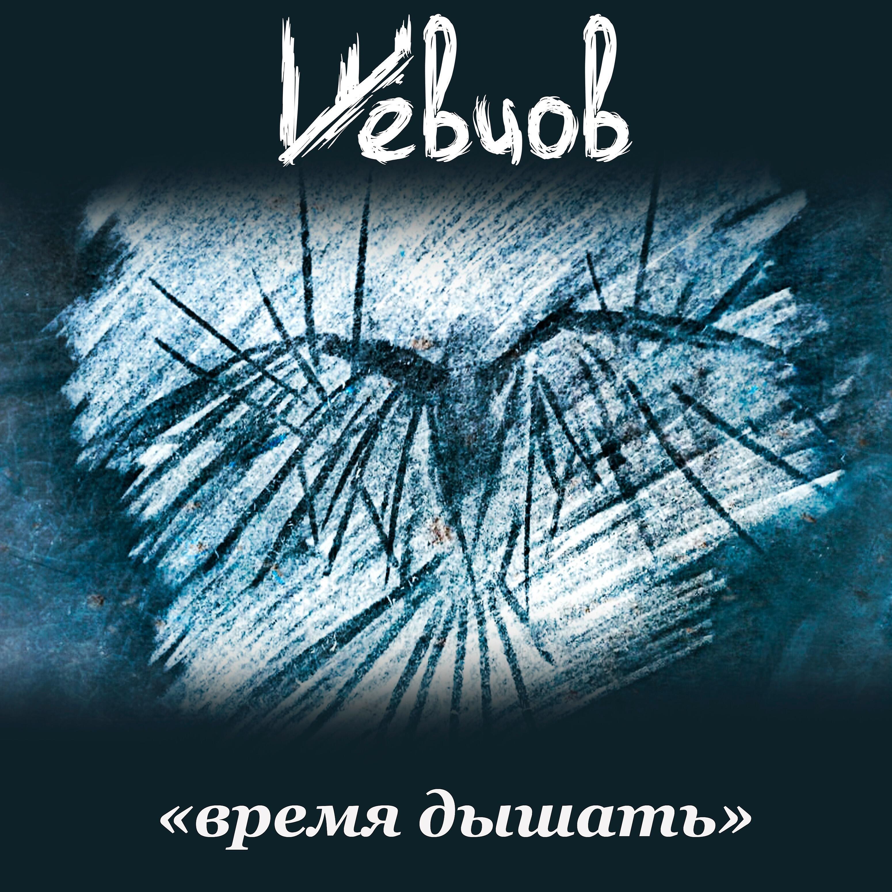 Шевцов