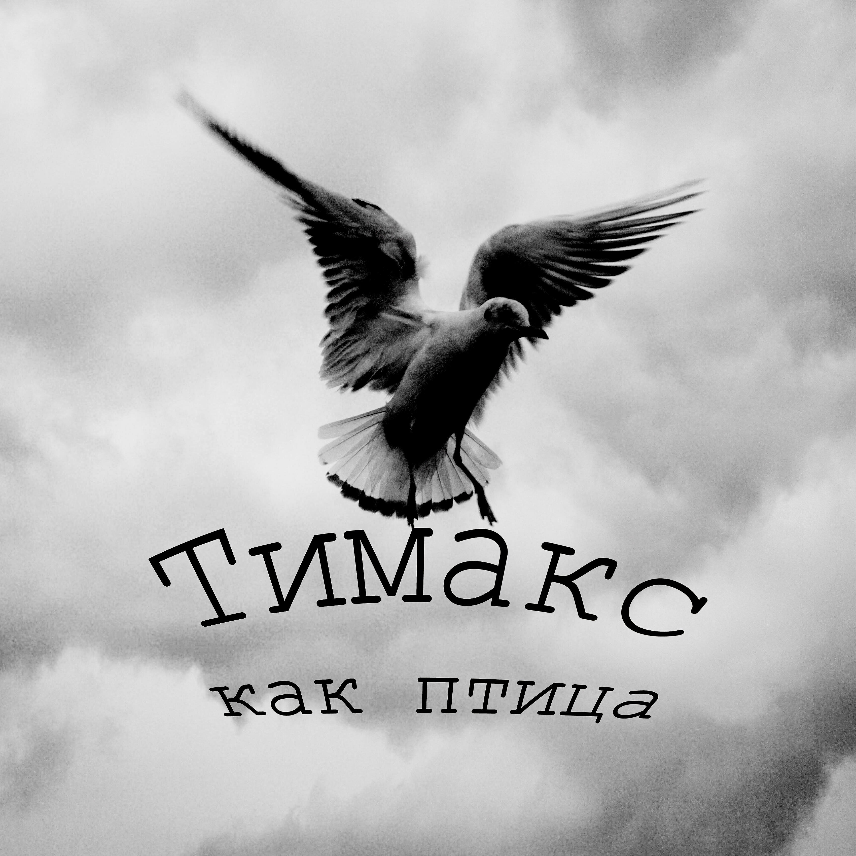 Релиз Как птица