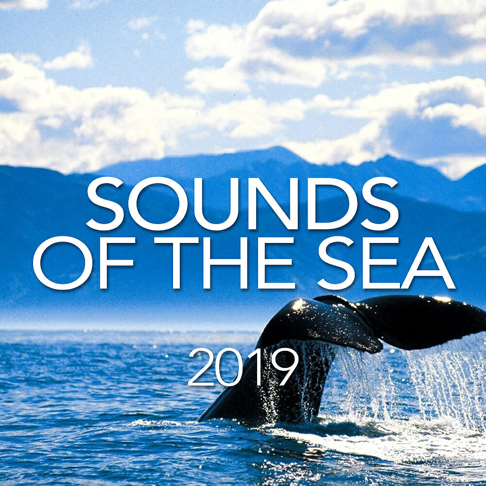 Релиз Sounds Of The Sea 2019